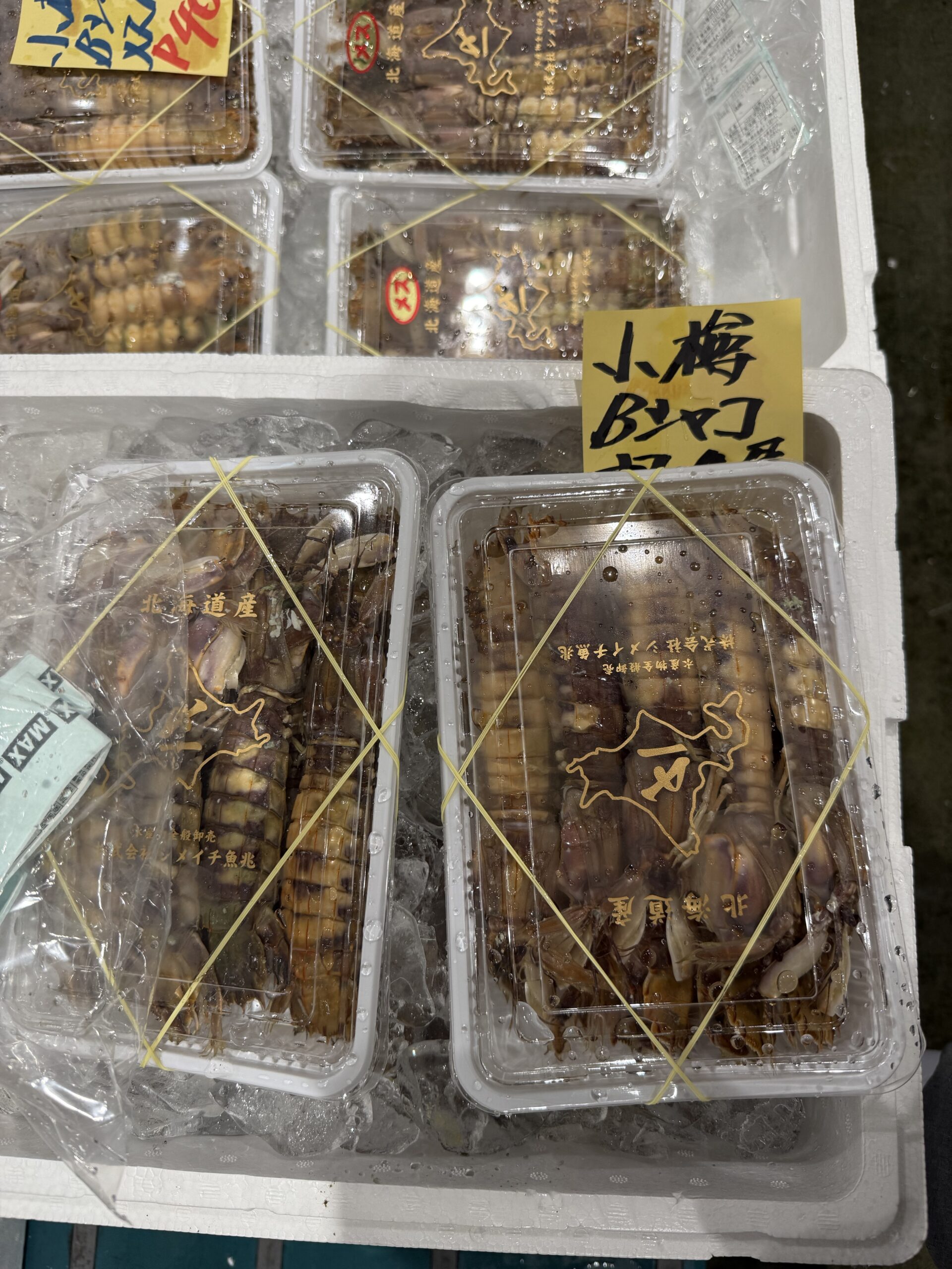 シャコ