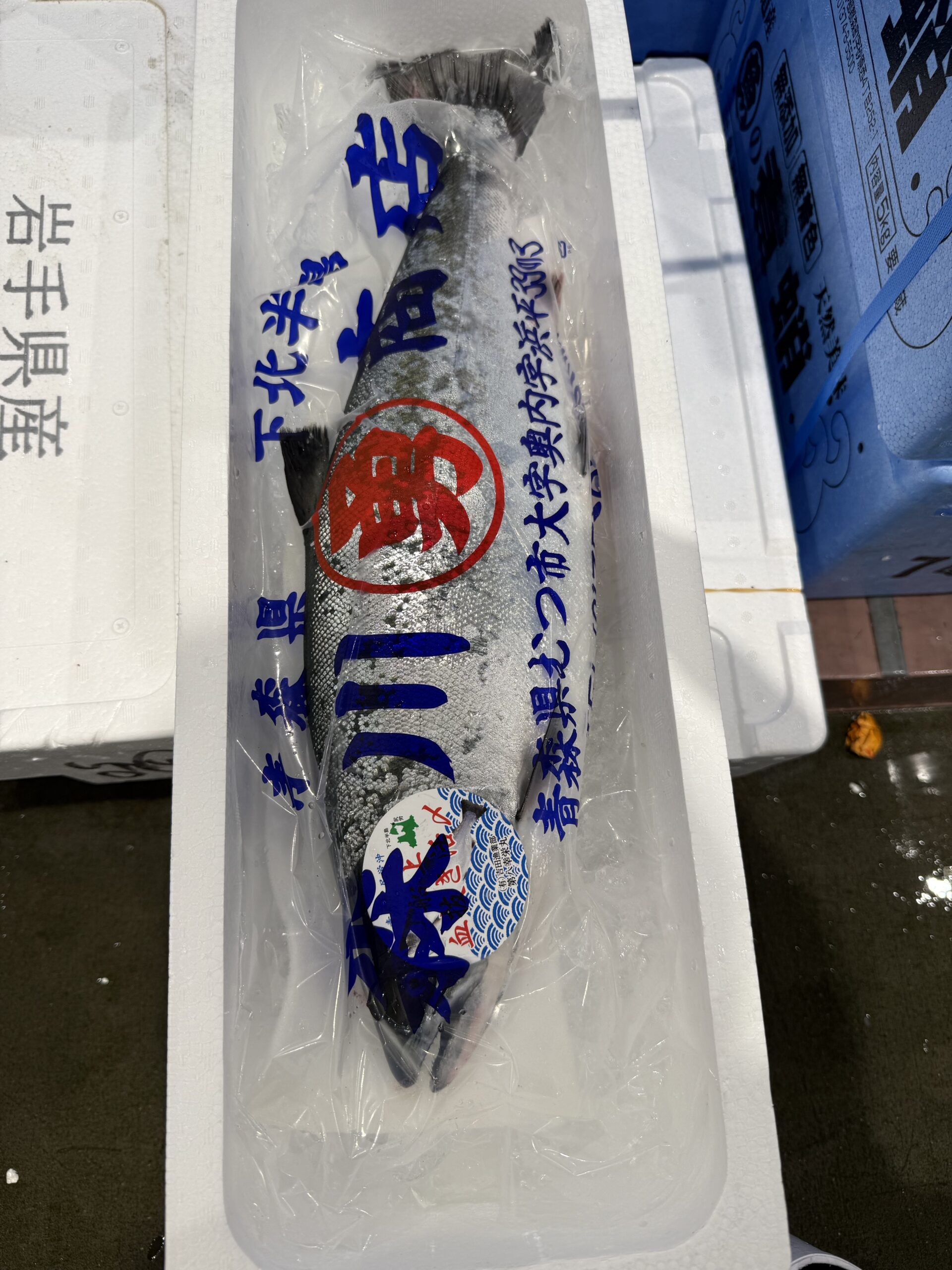 時鮭