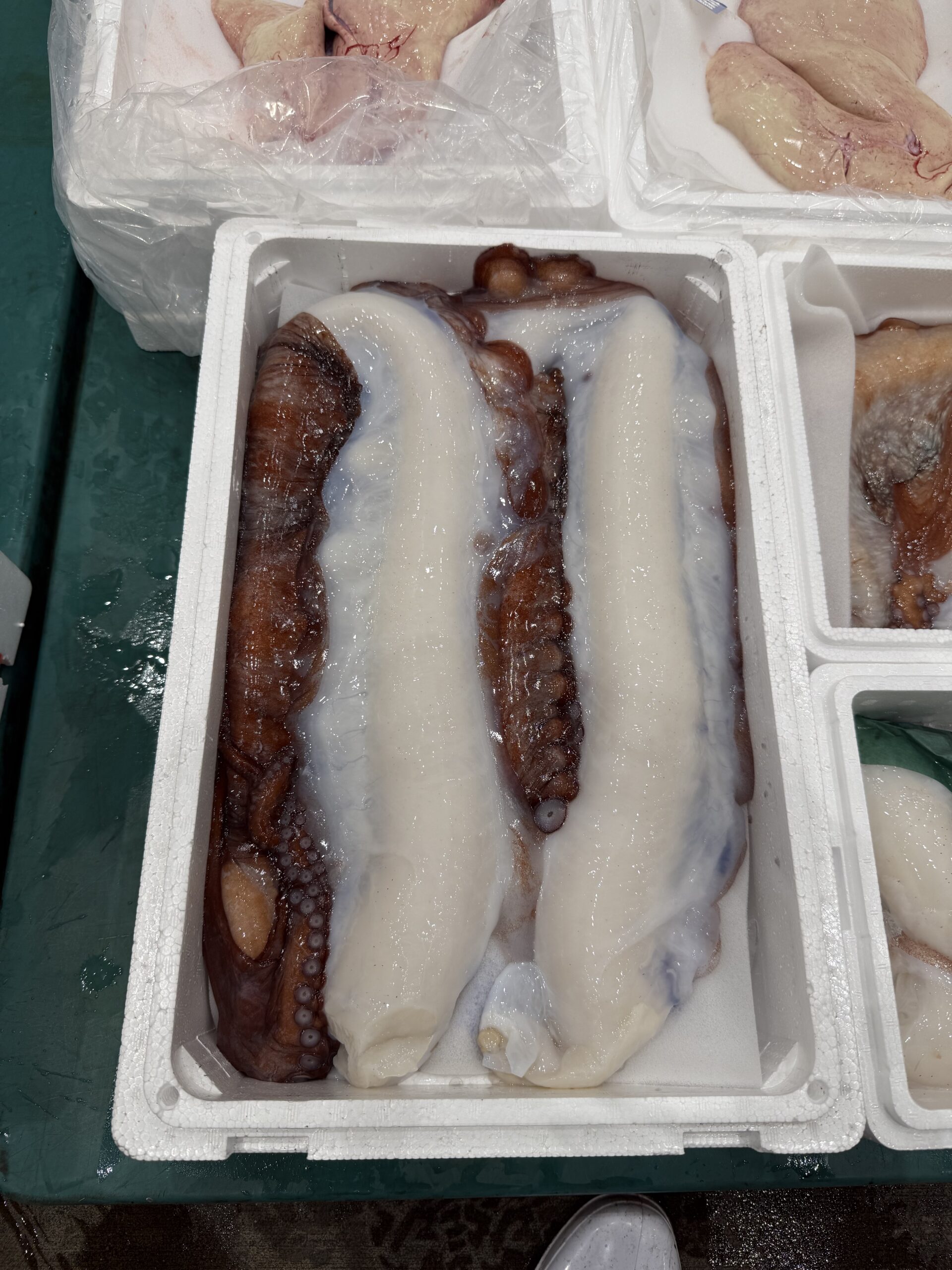 水だこ足