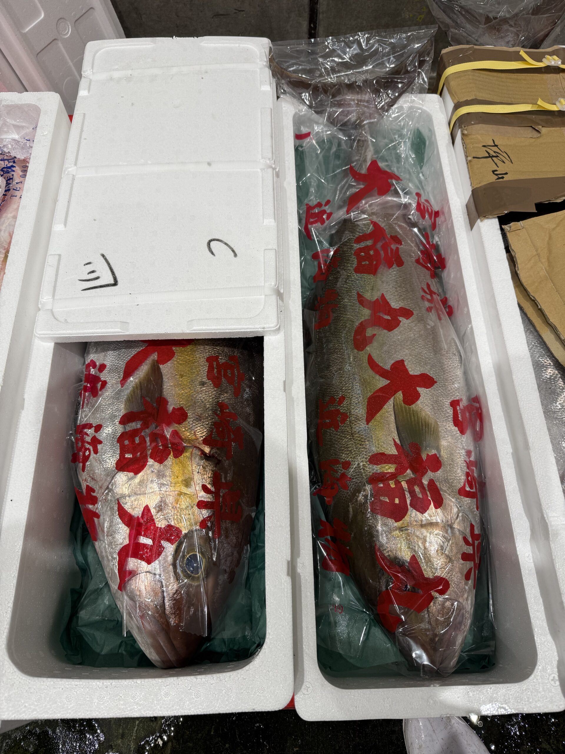 Kanpachi