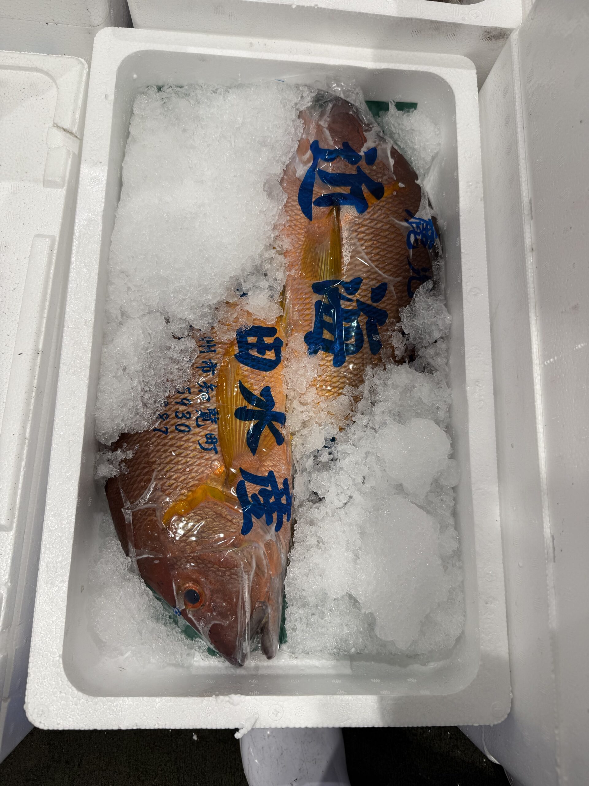Fuedai