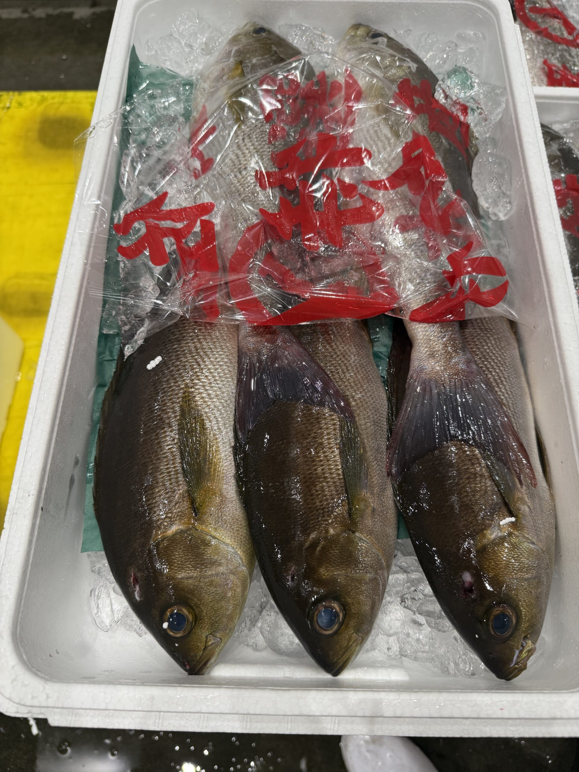 Isaki