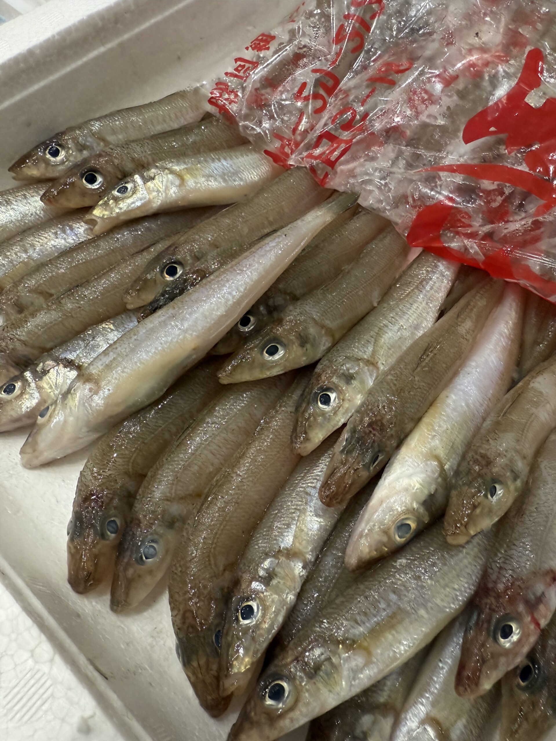 Kisu
