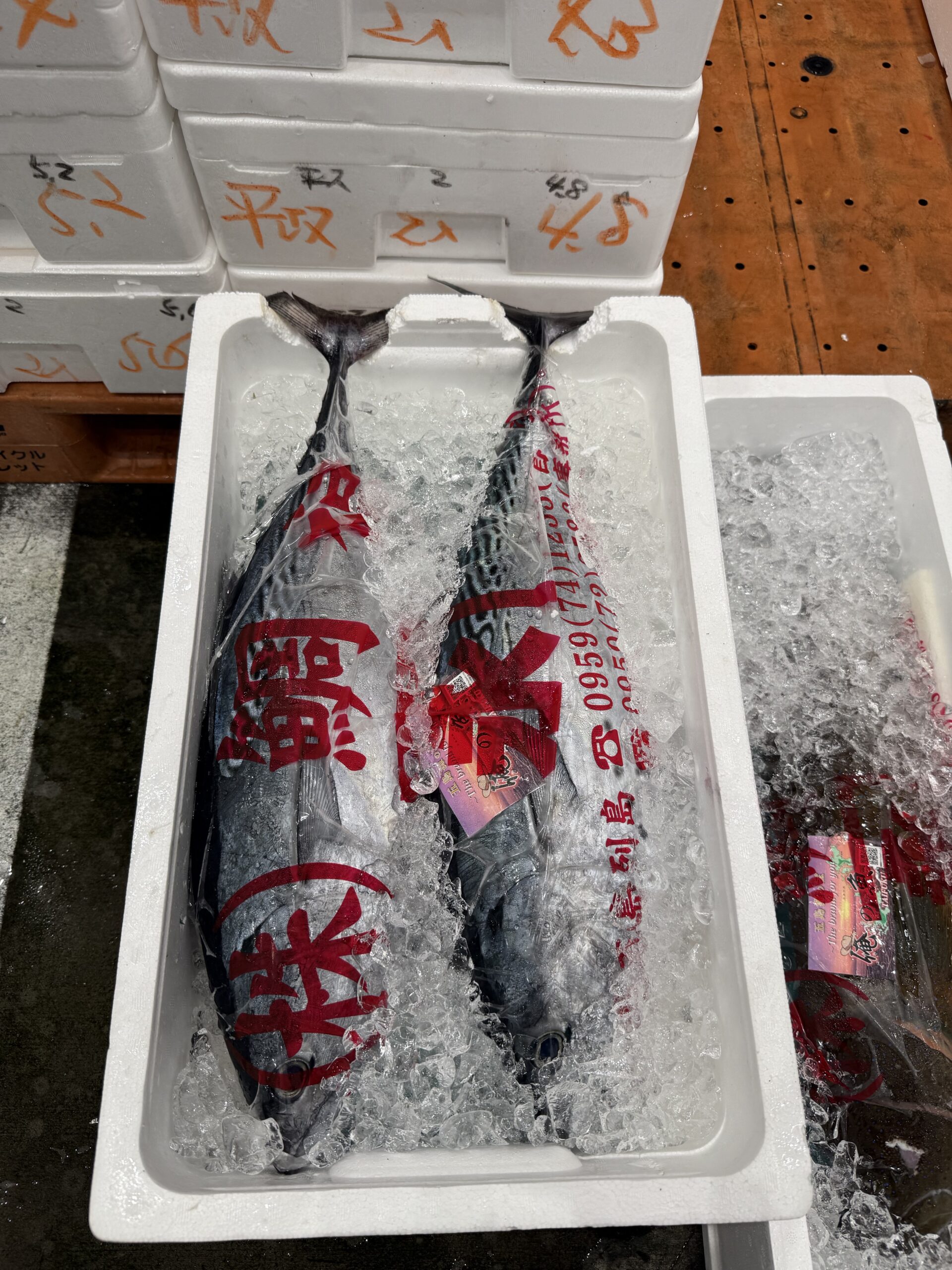Katsuo