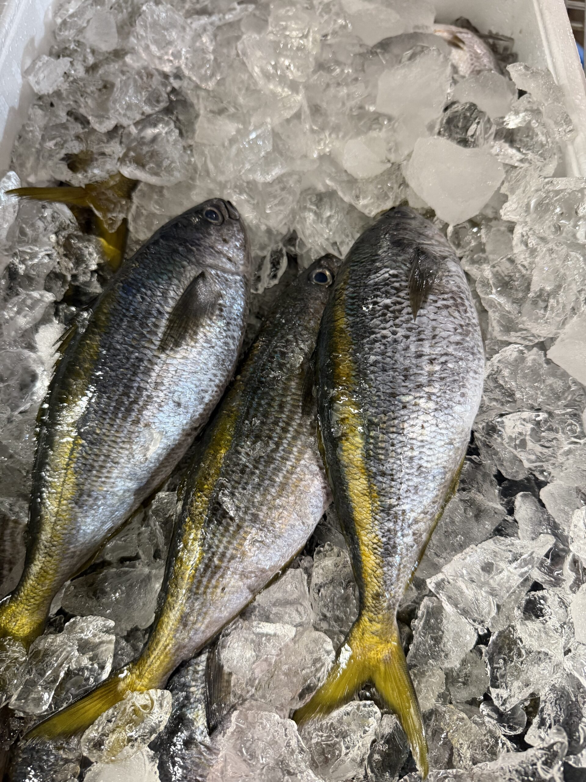 Takabe