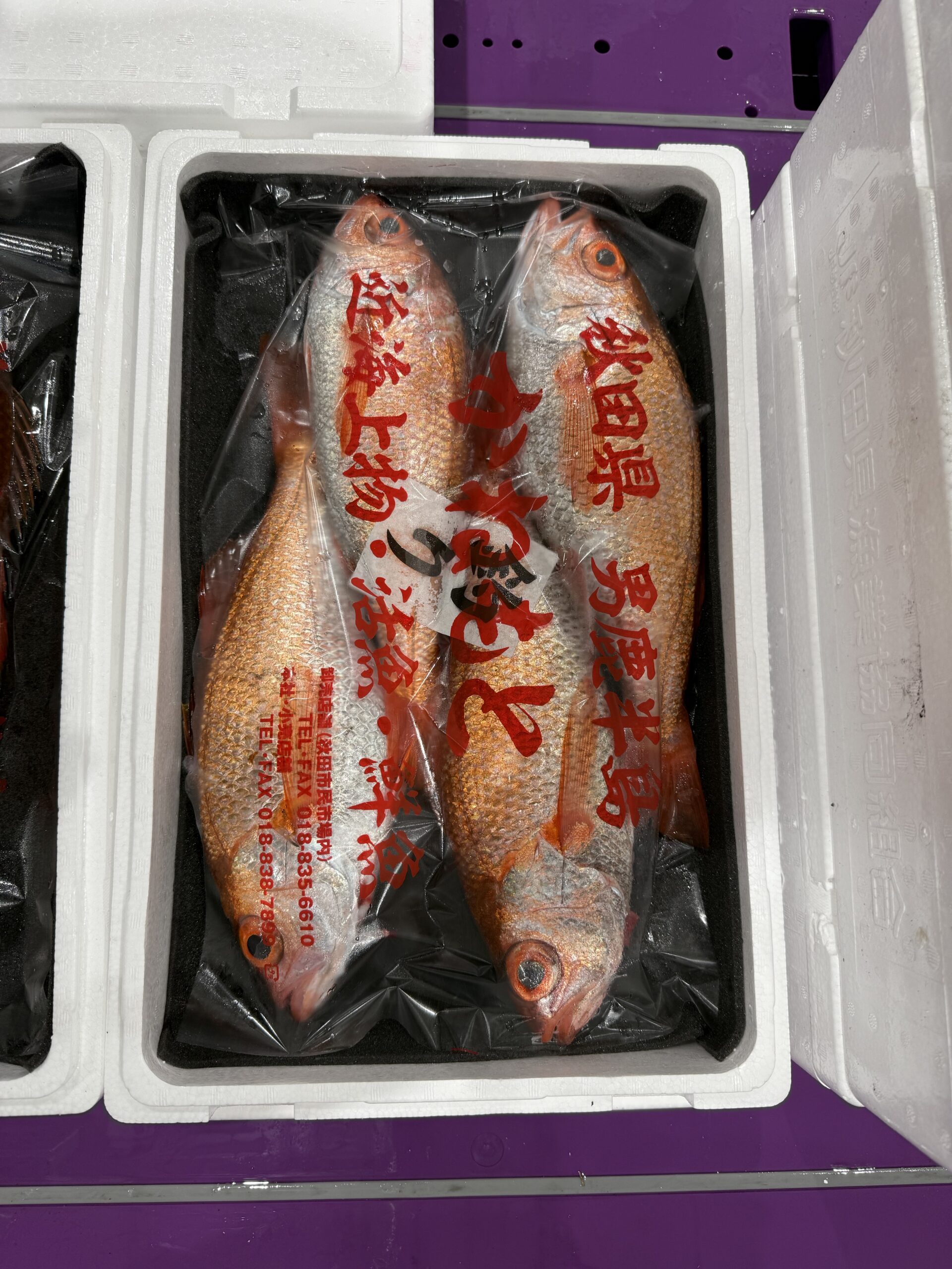 Akamutsu