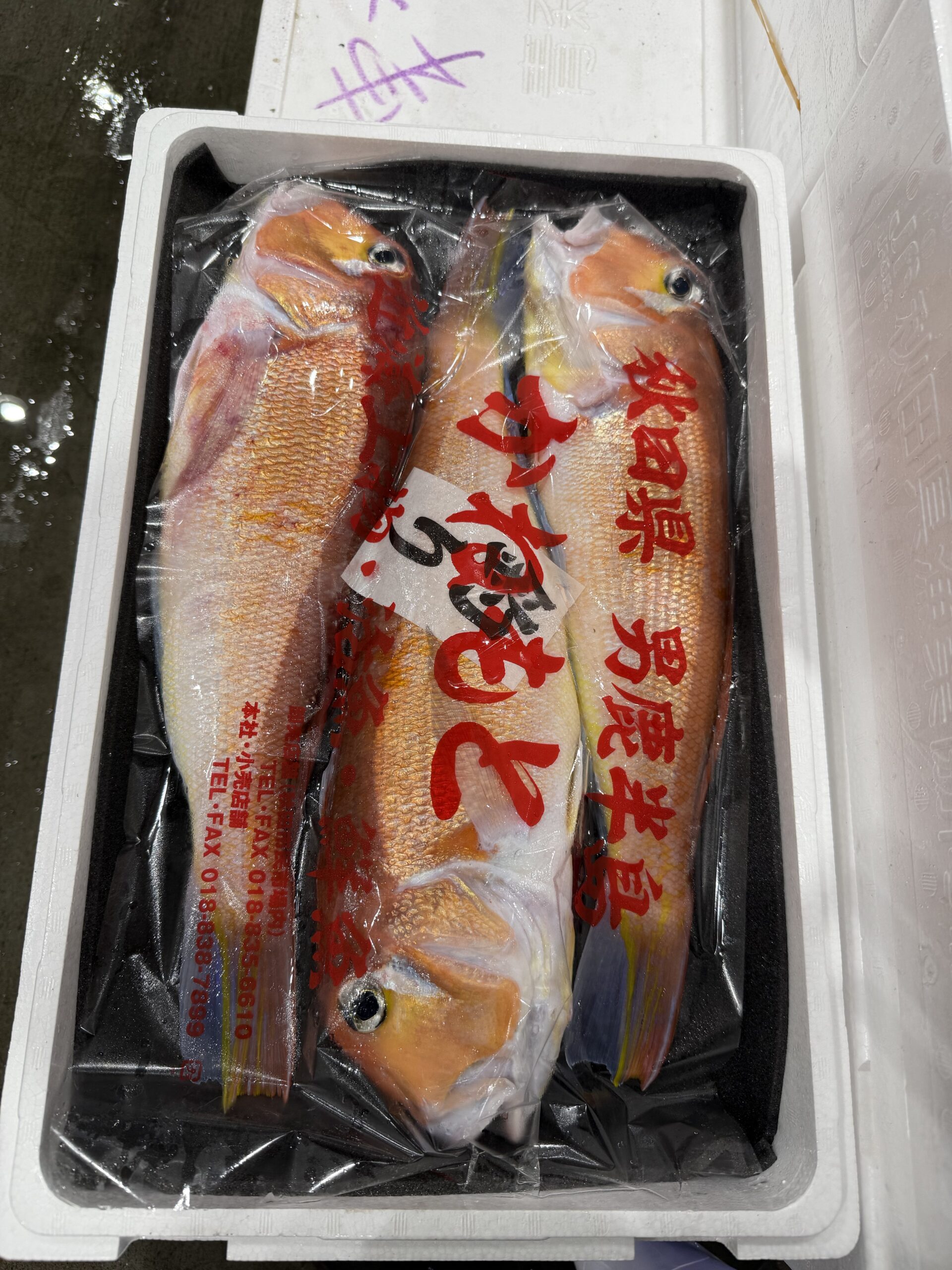 Amadai