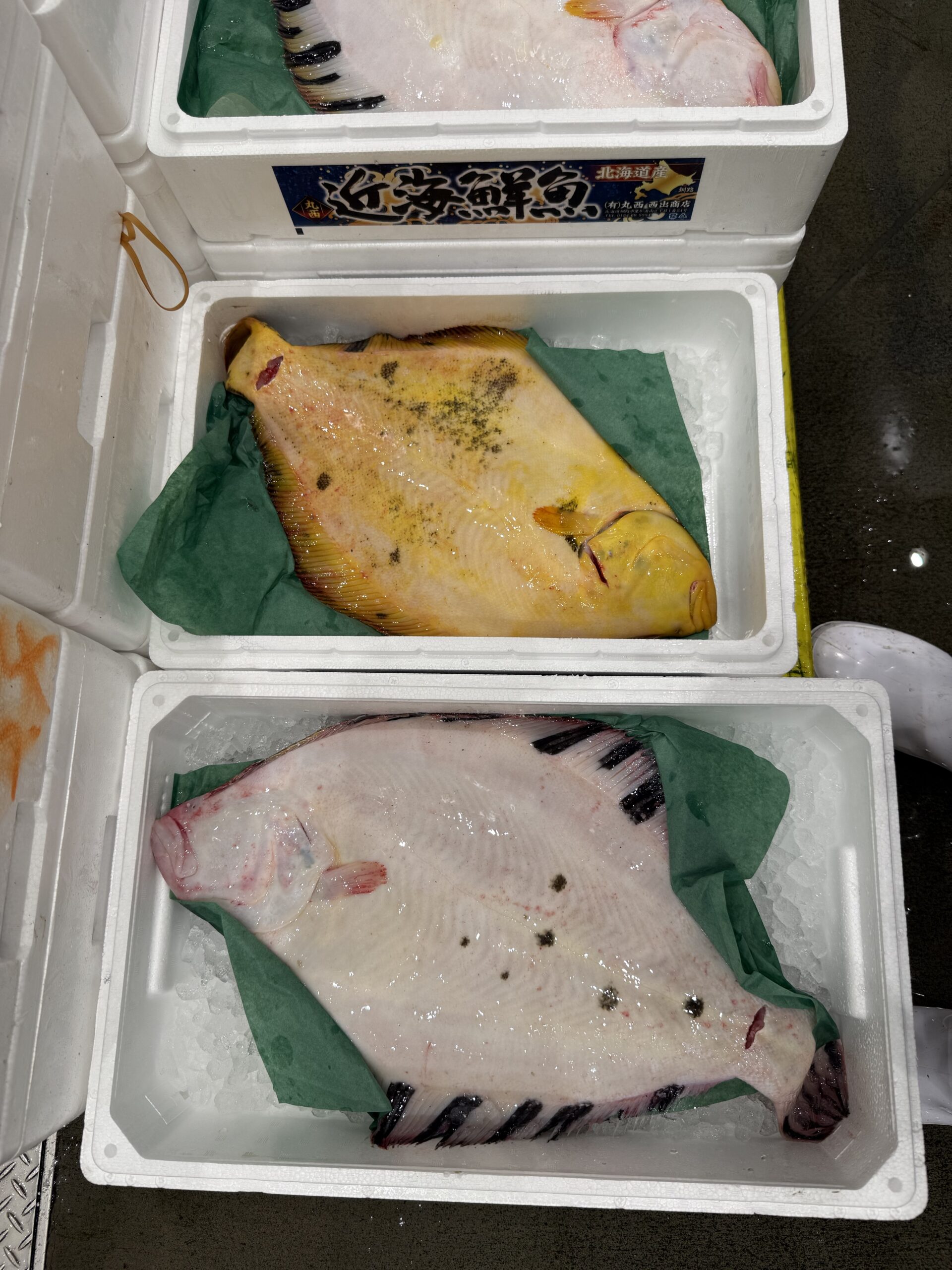Matsukawagarrei