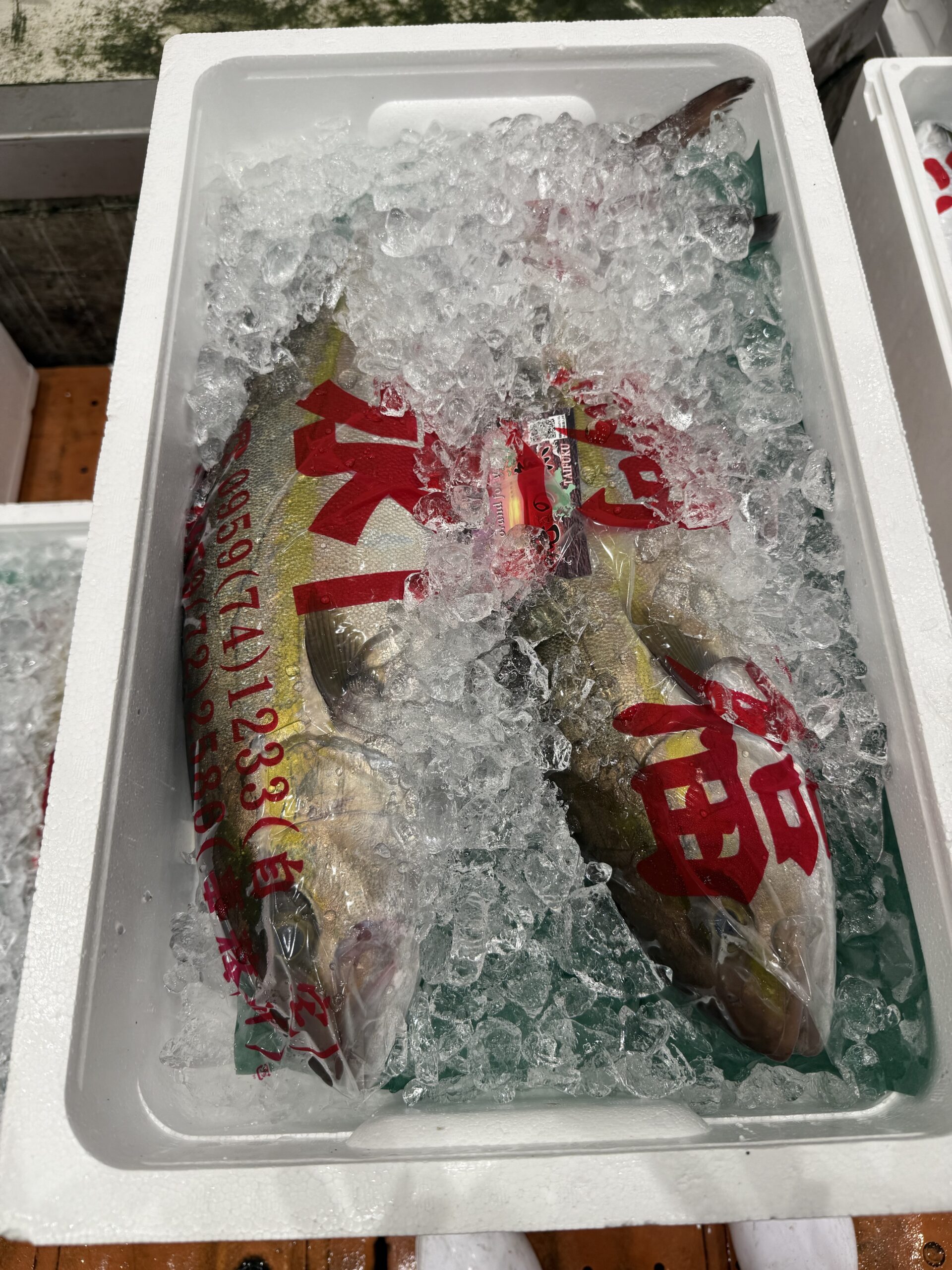 Kanpachi