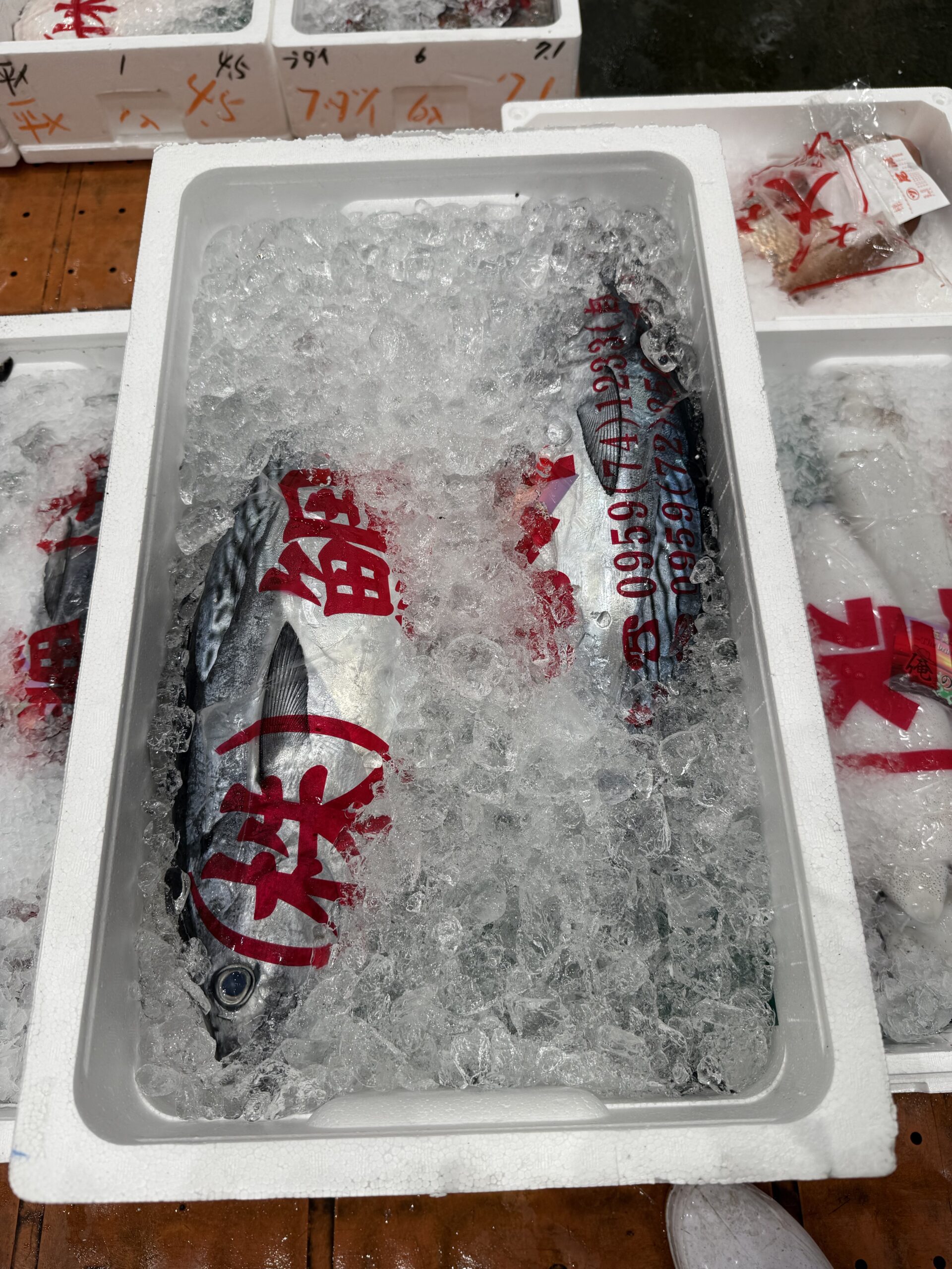 Katsuo