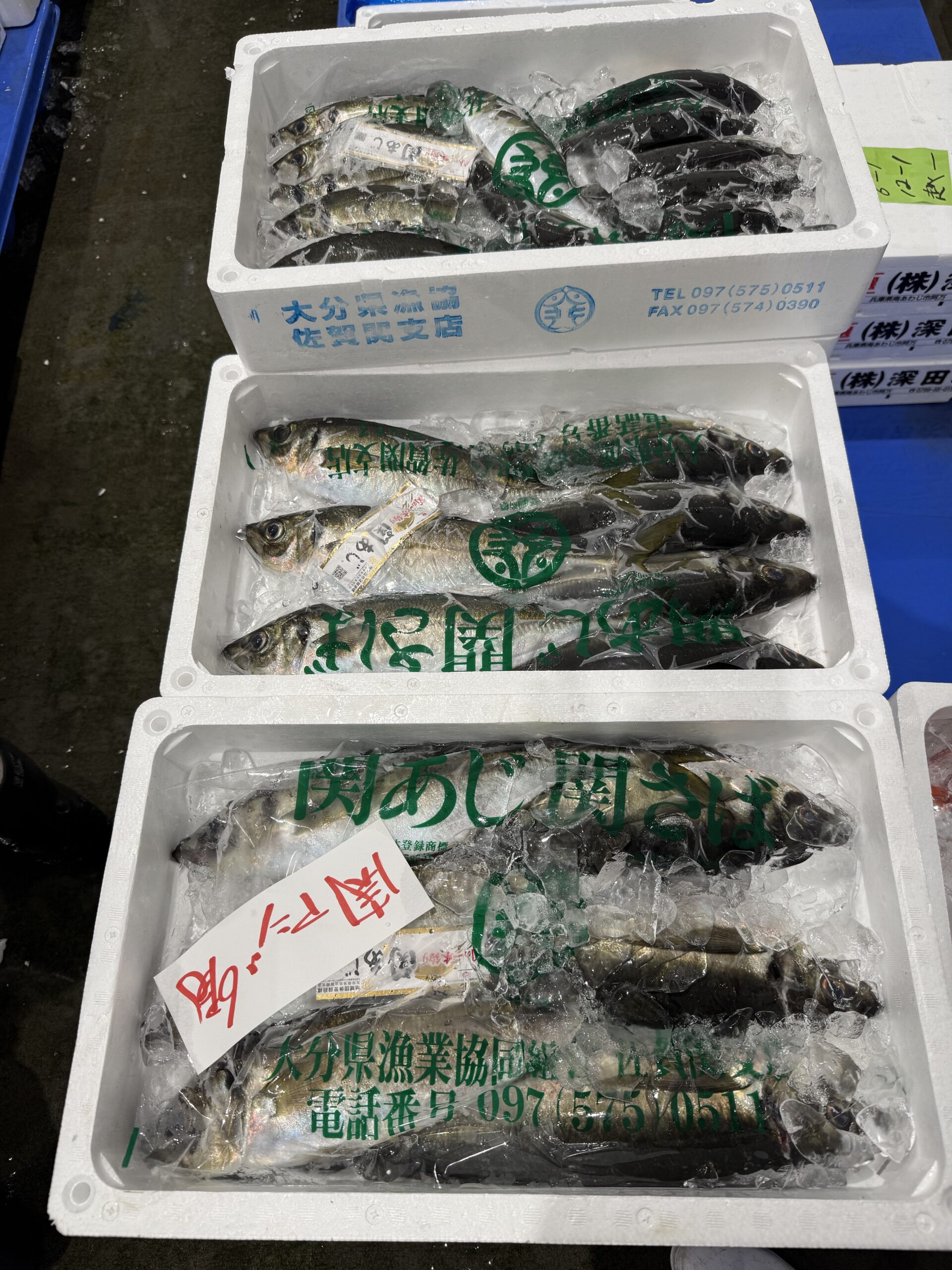 Sekiaji