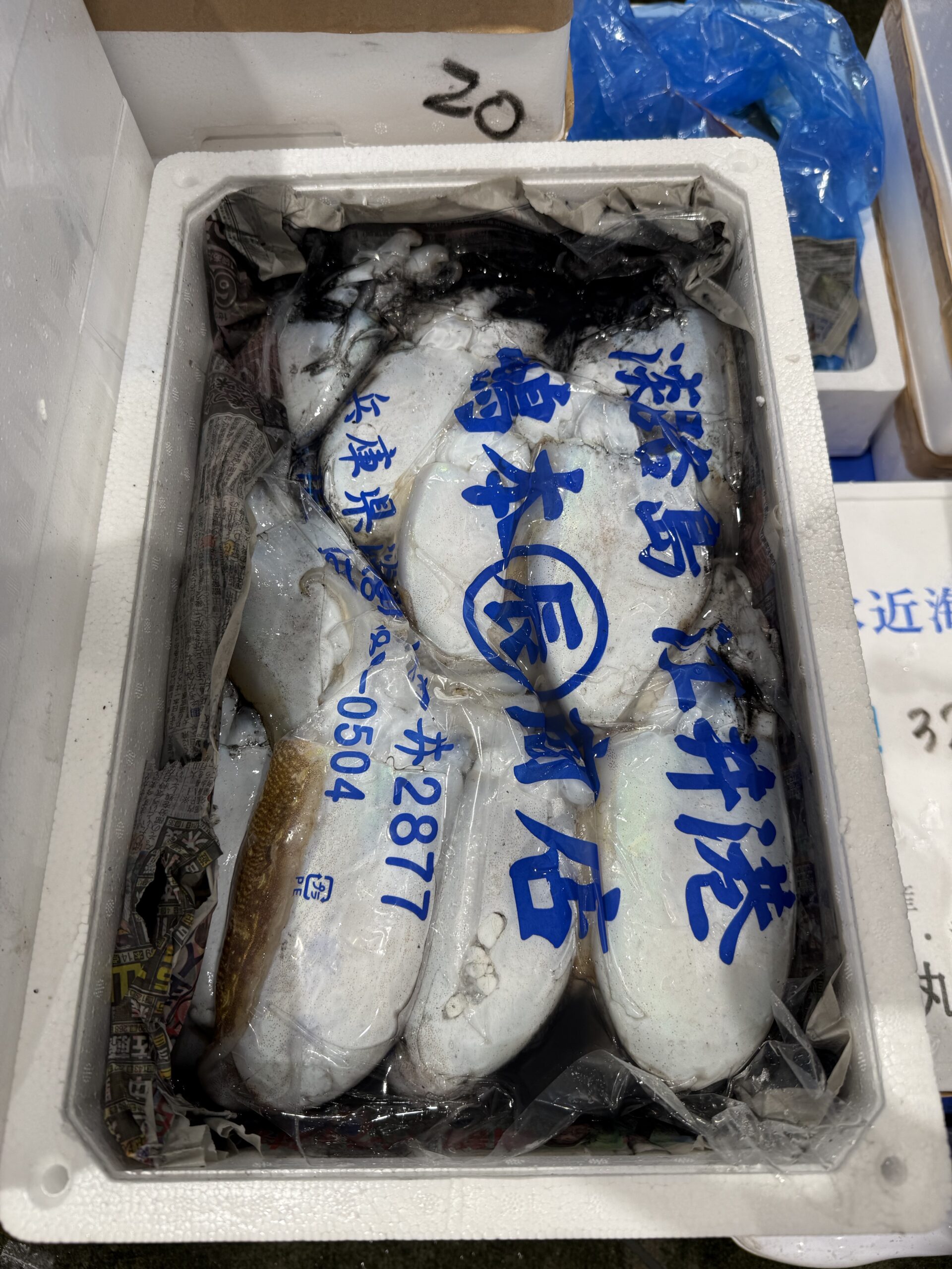 Sumi-ika