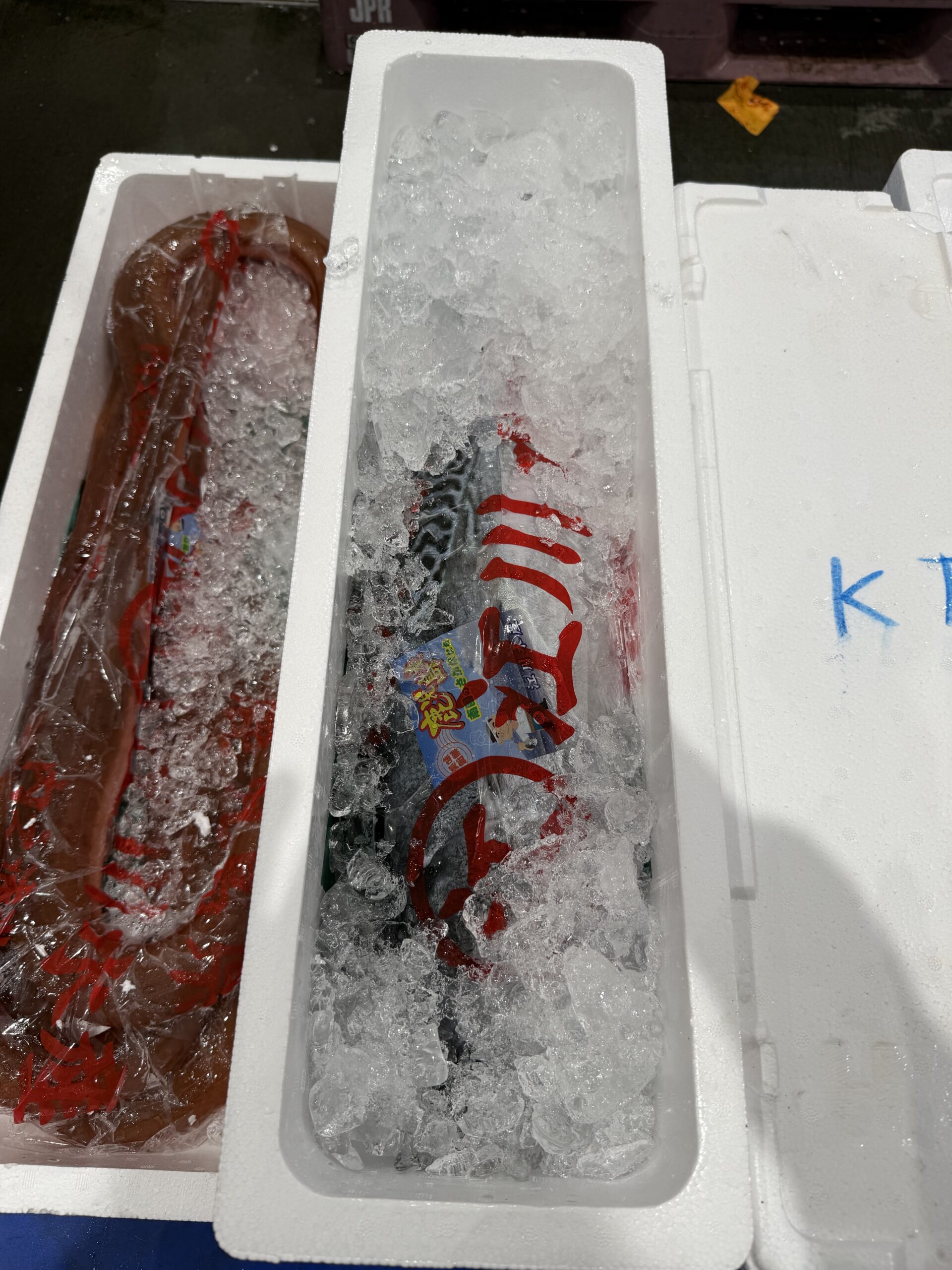 Katsuo