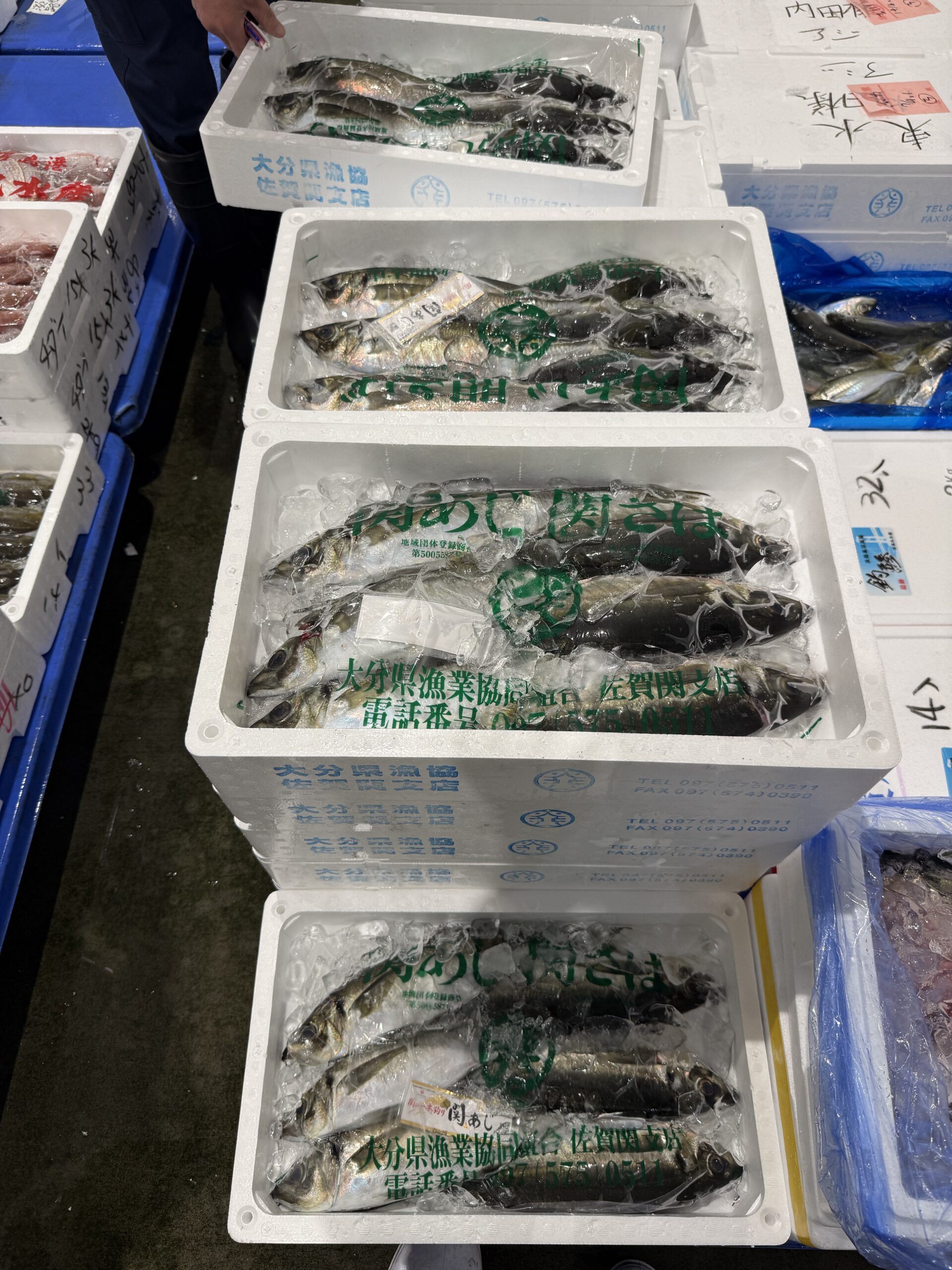 Seki Aji