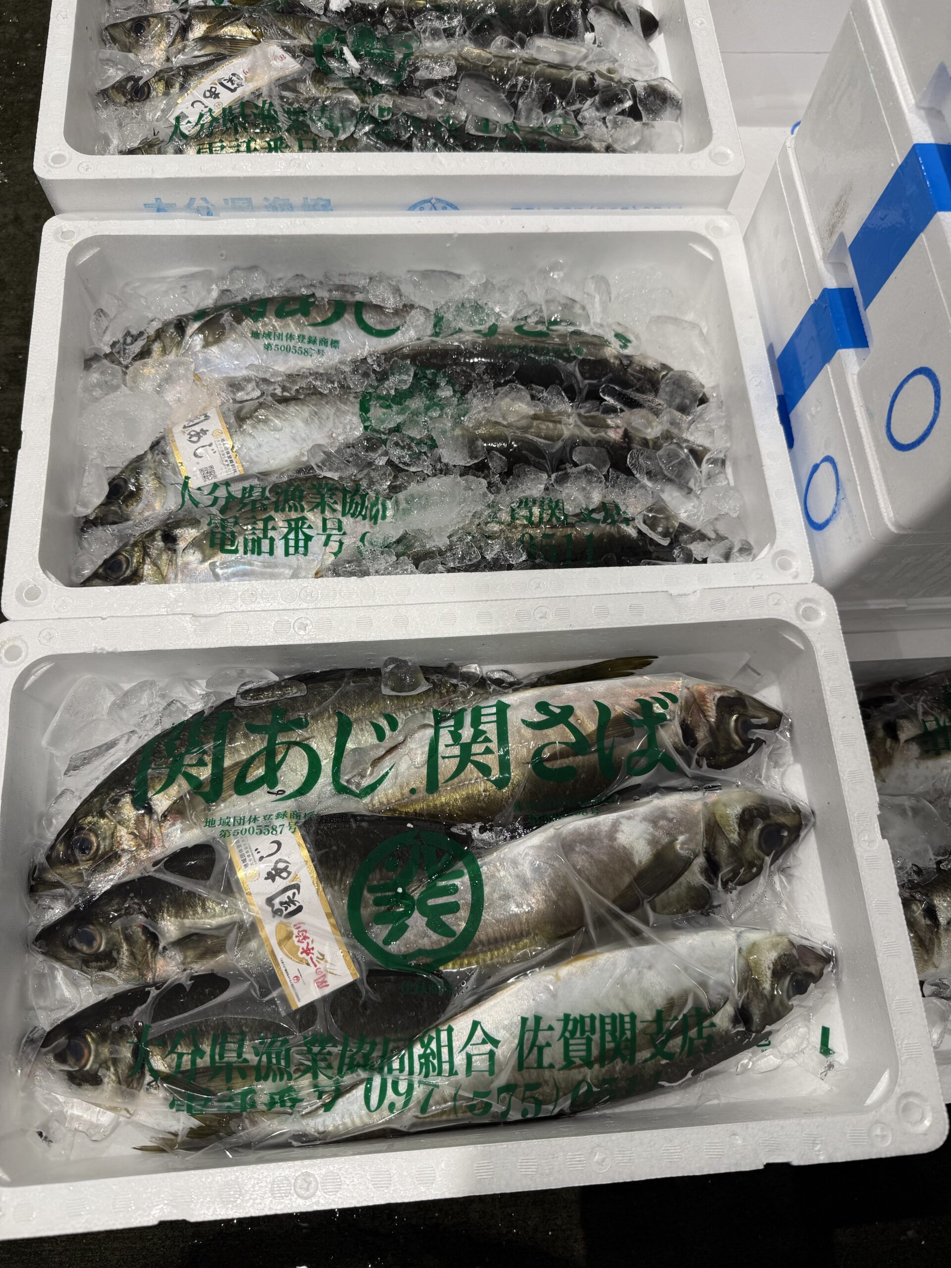 Seki Aji