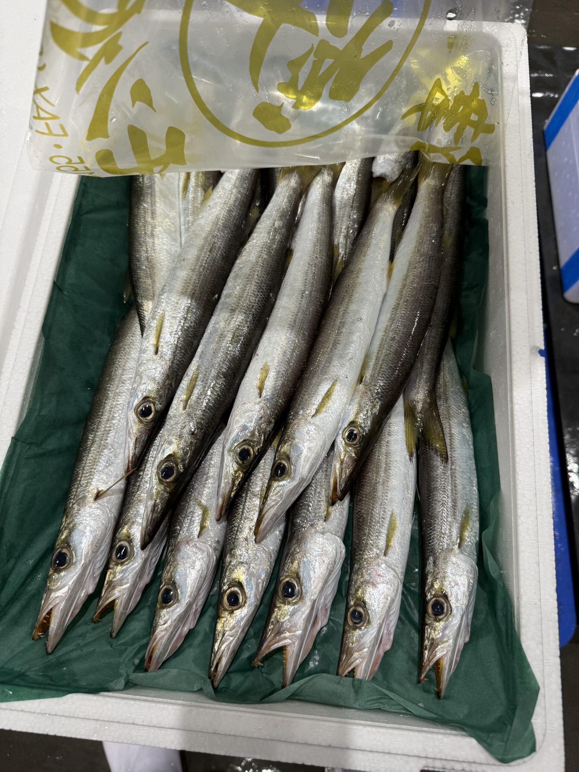 Kamasu