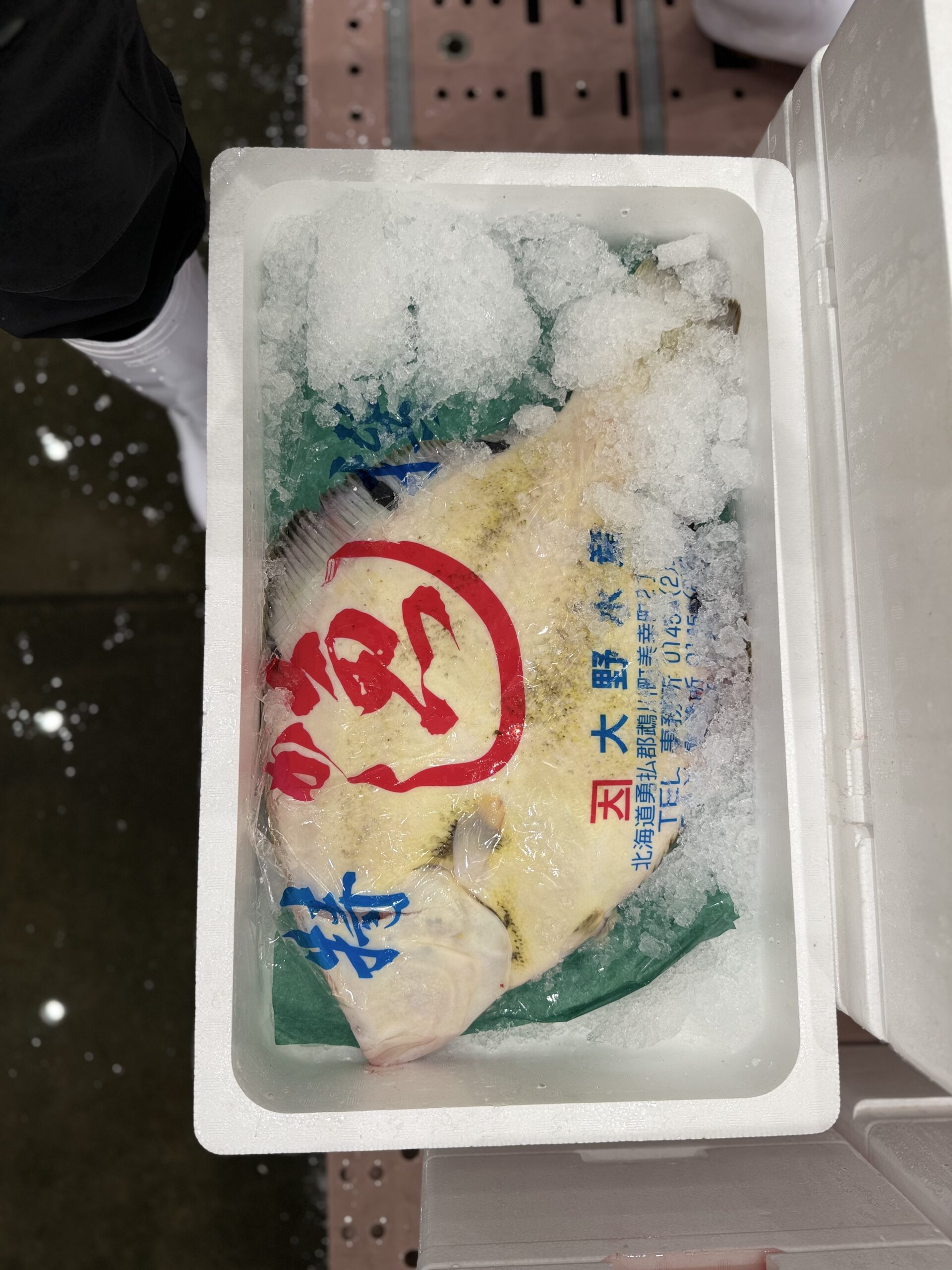 MatsukawaKarei