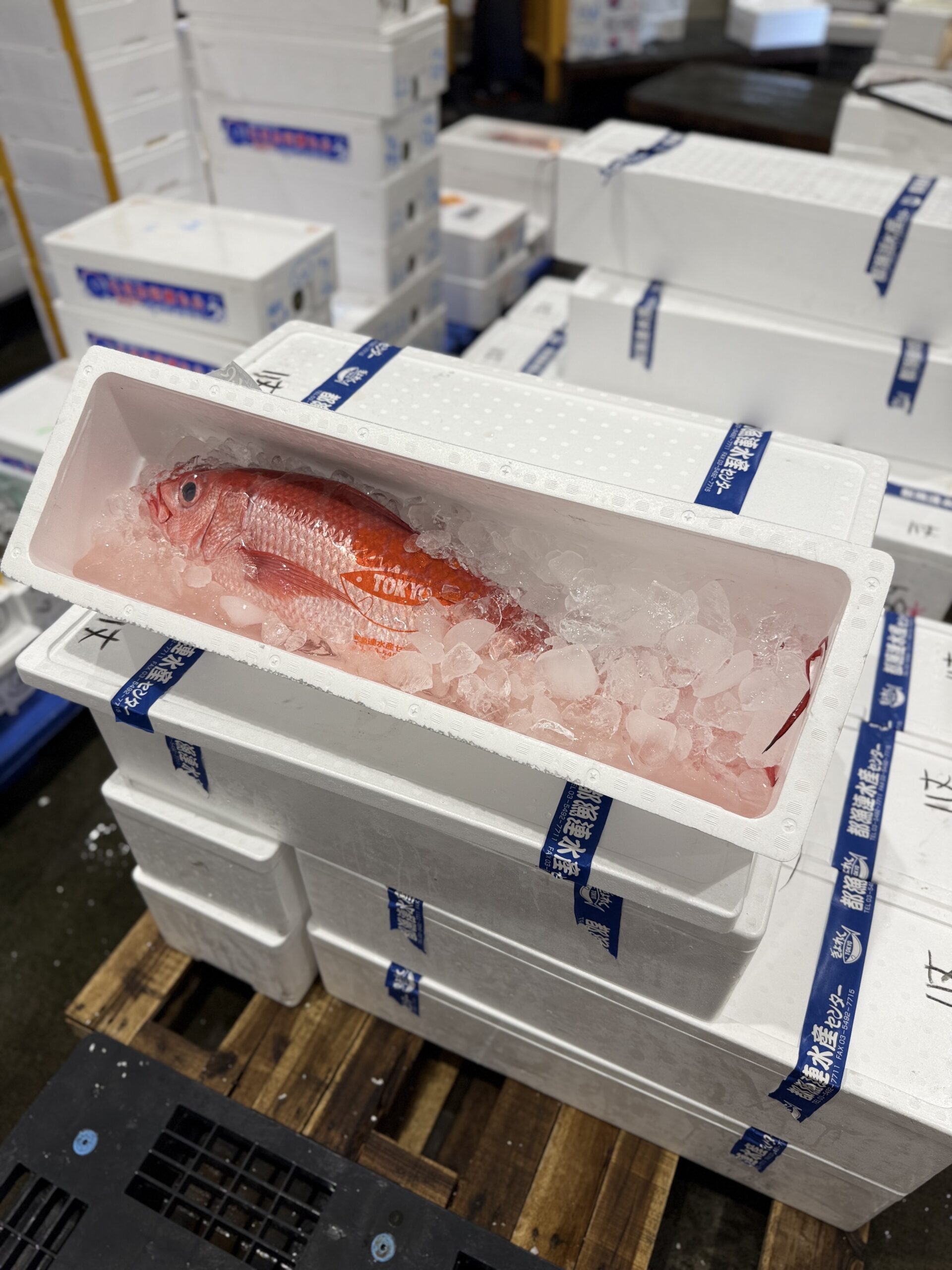 Onaga