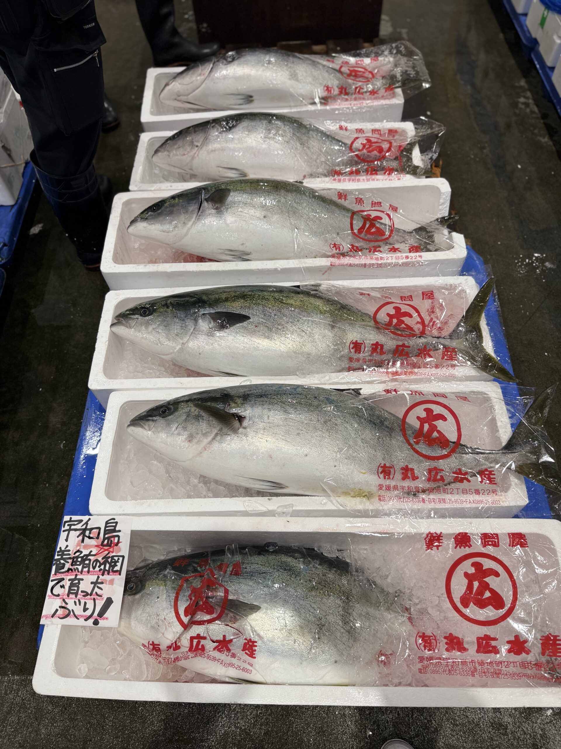 Buri