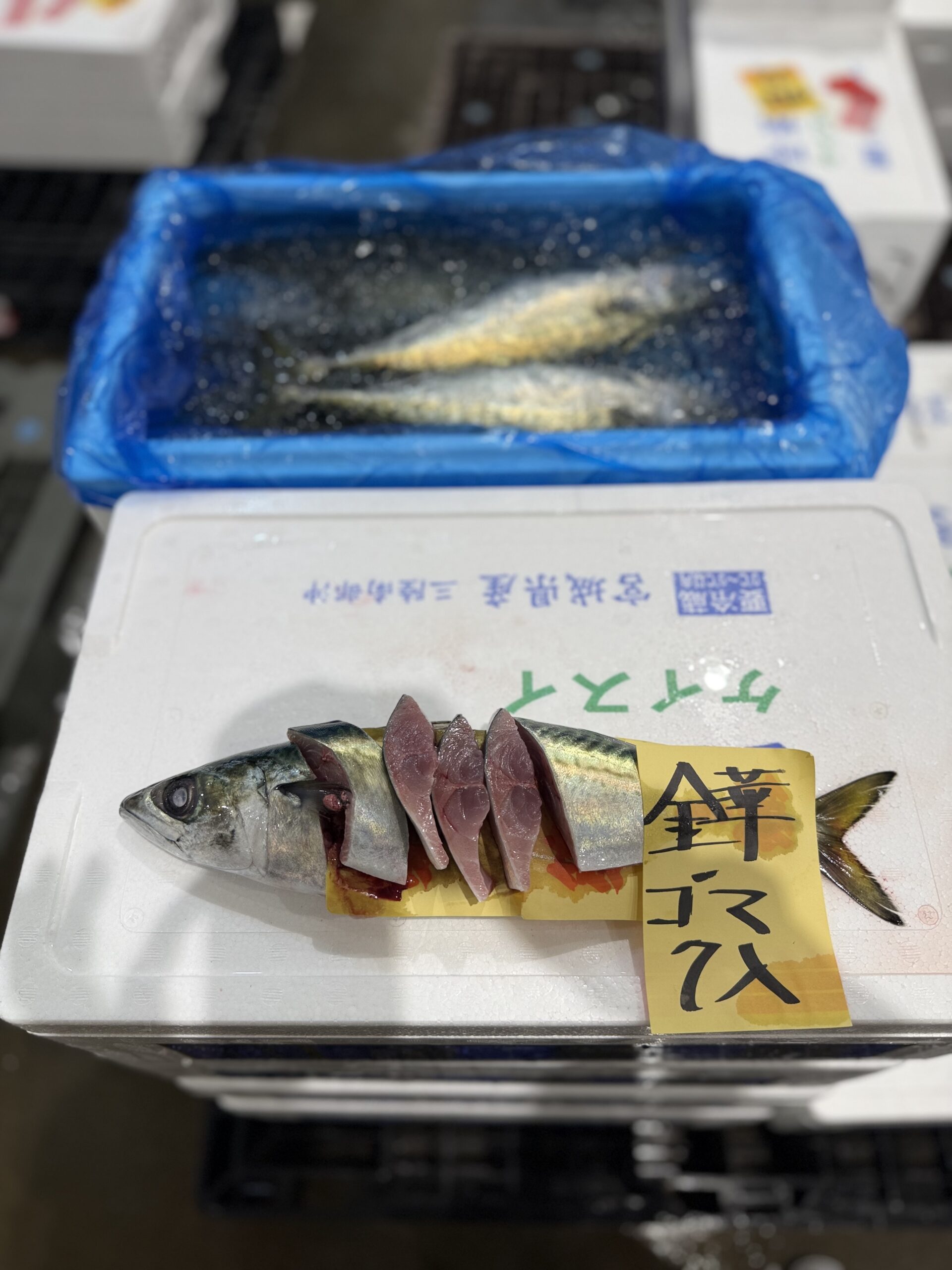 Goma Saba