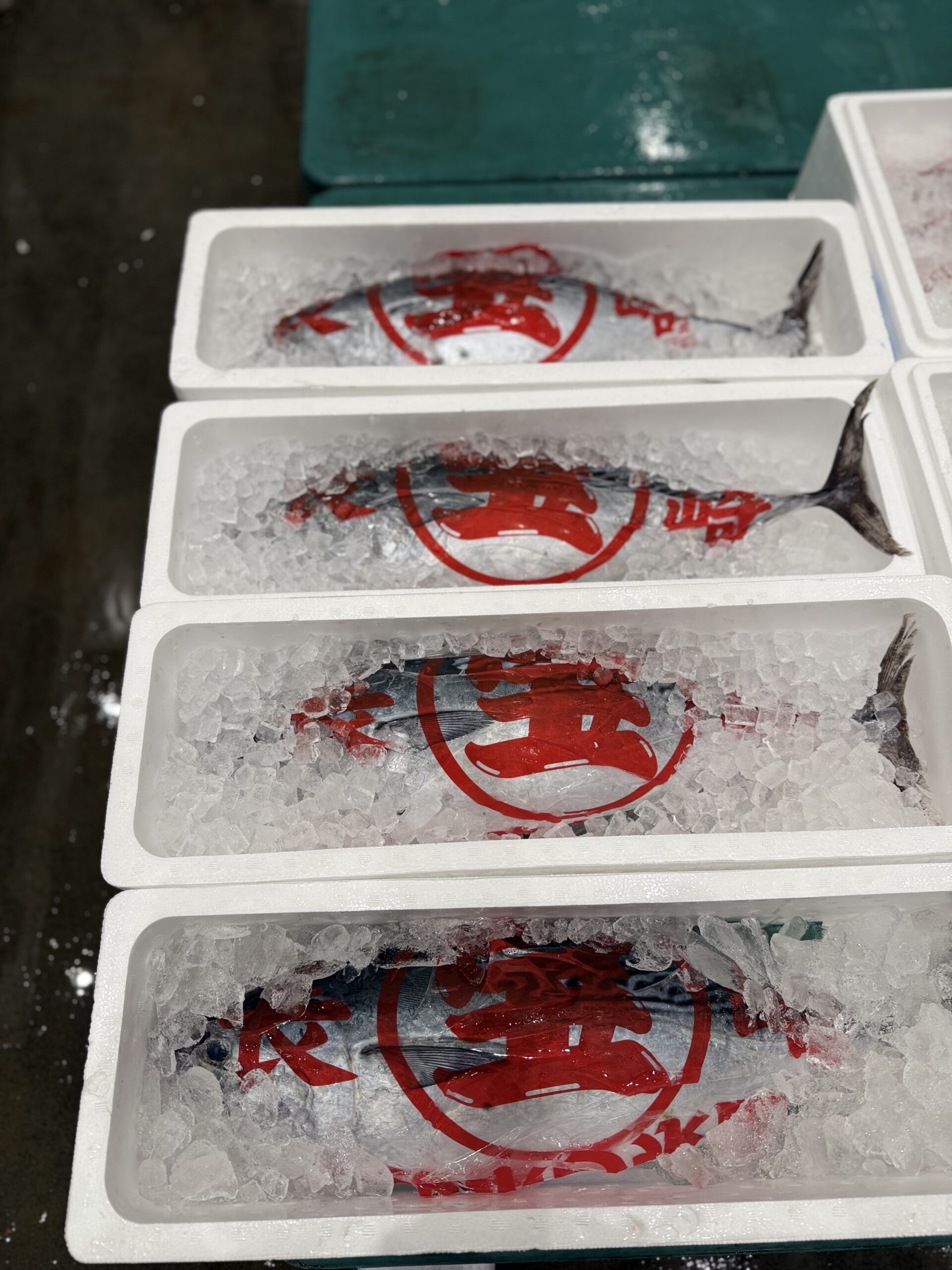 Katsuo