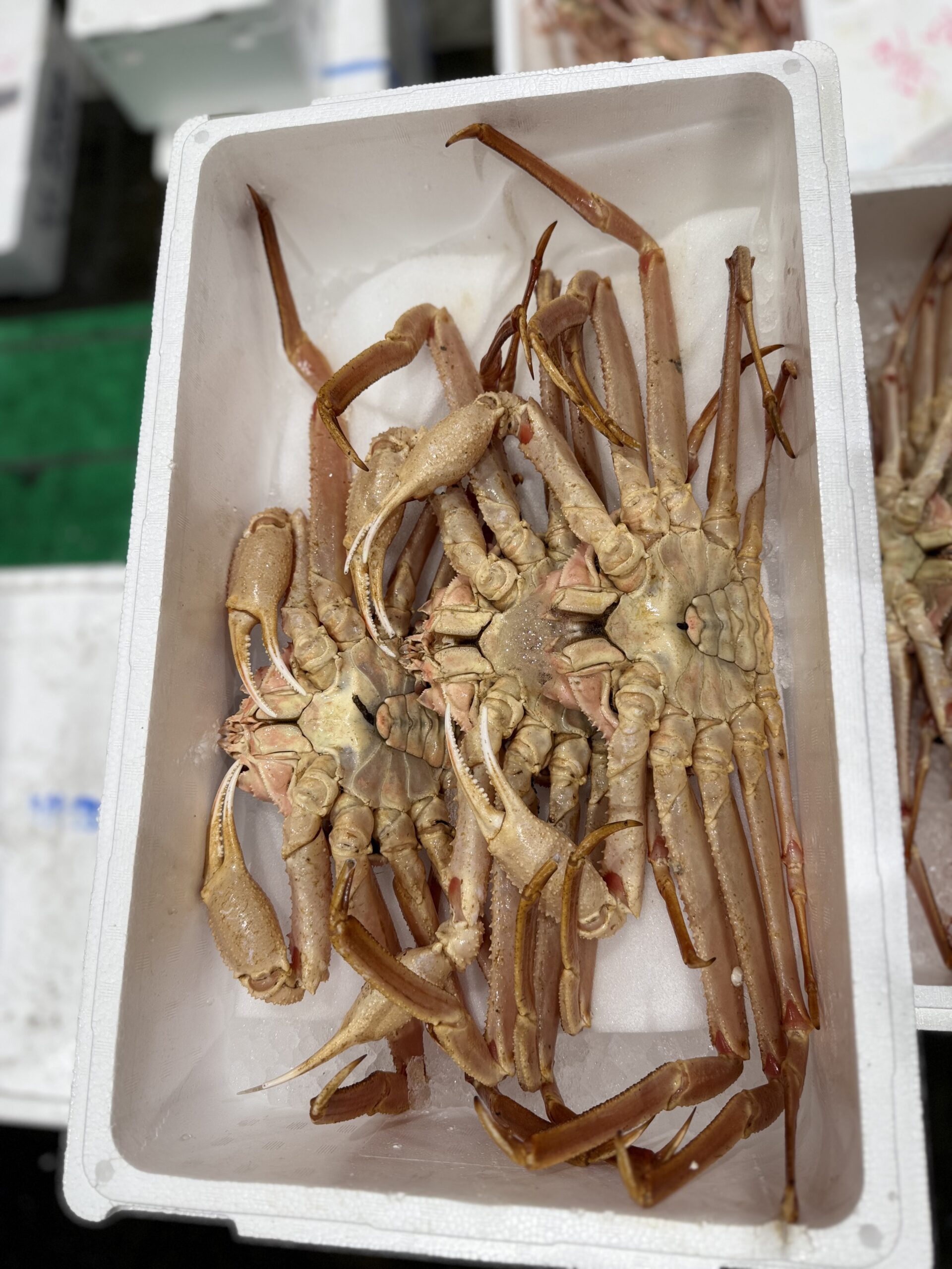 Seikogani