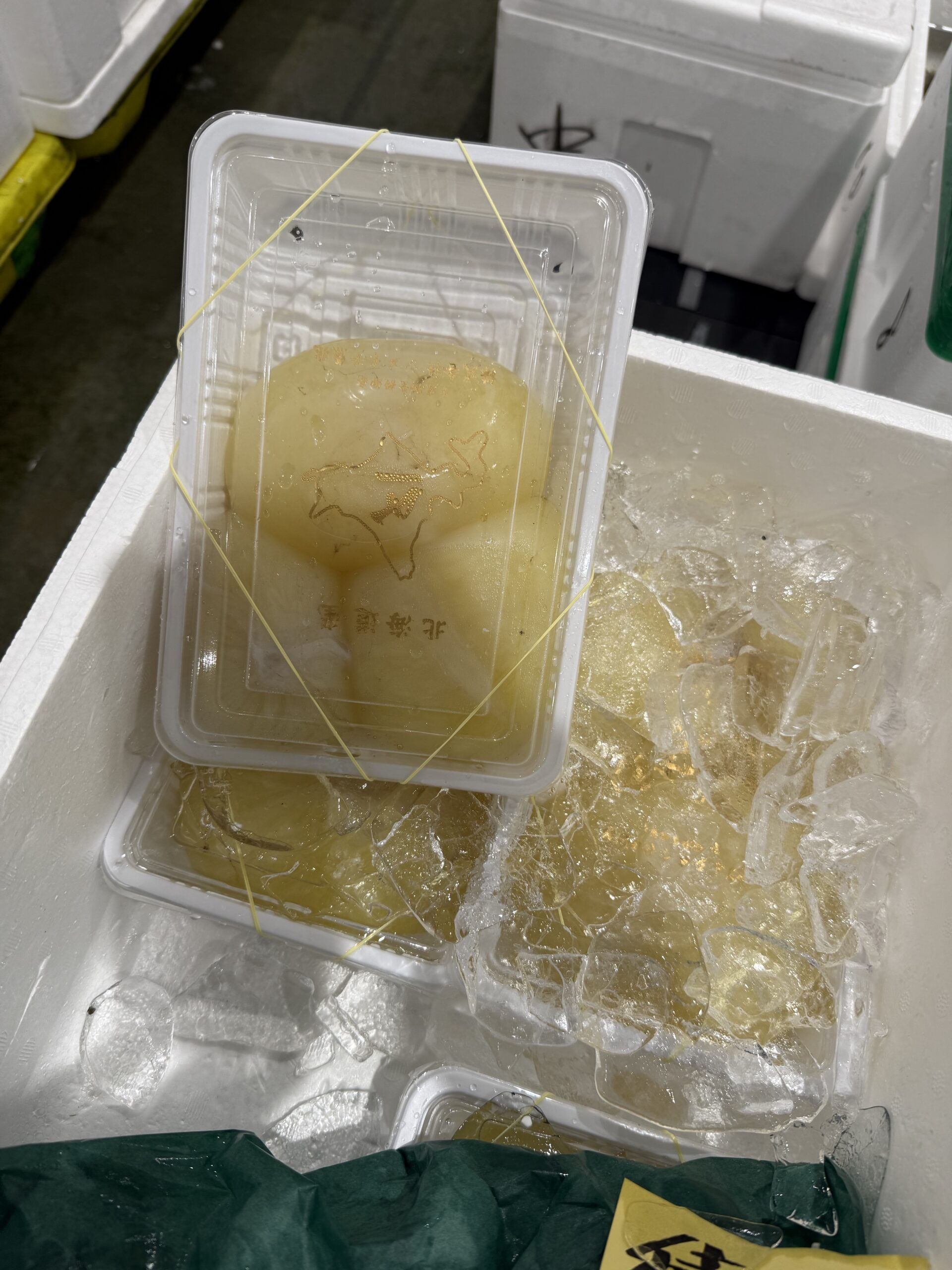 Takonoko (Octopus Eggsack)