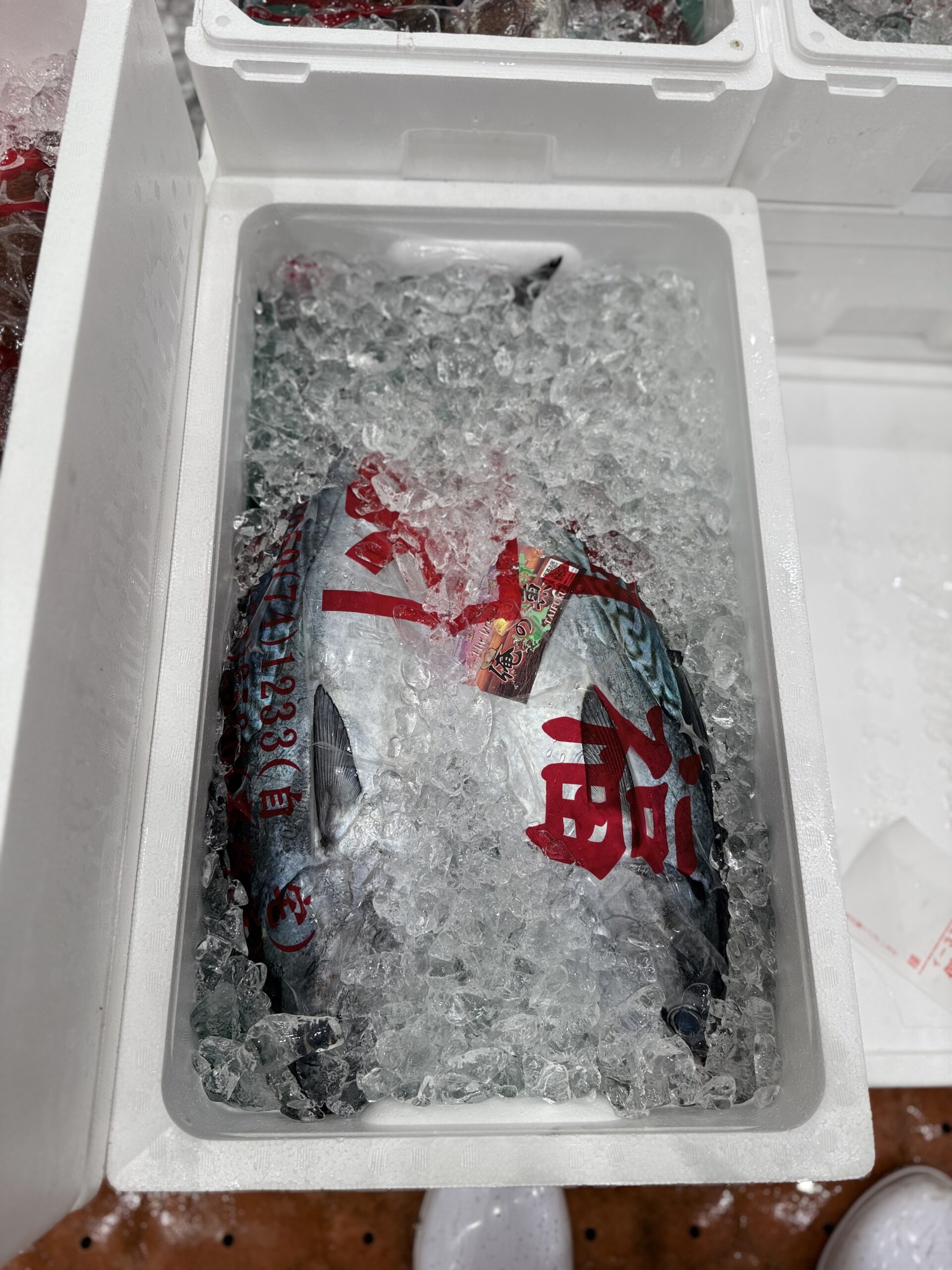 Katsuo