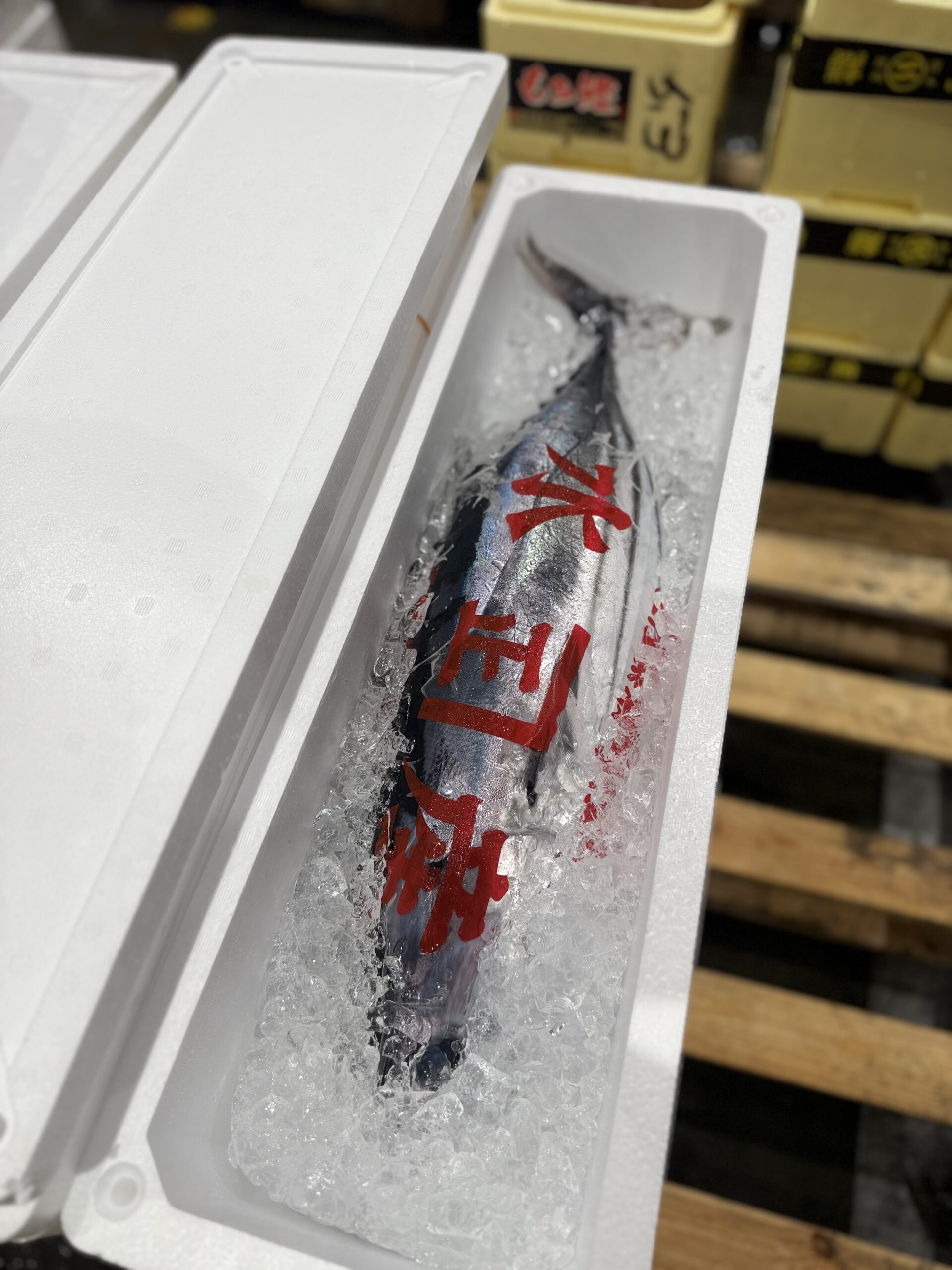 Katsuo