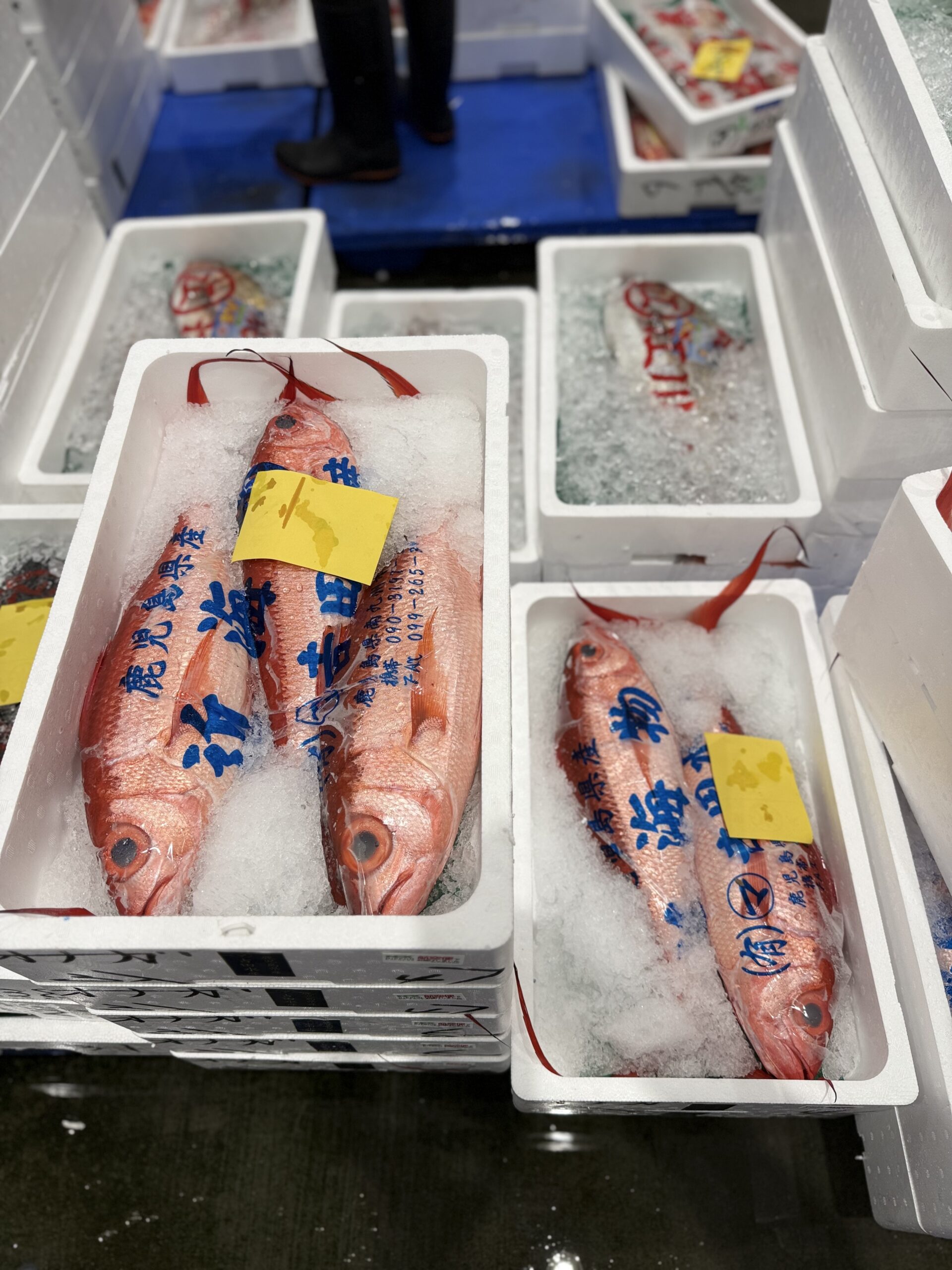 Onaga