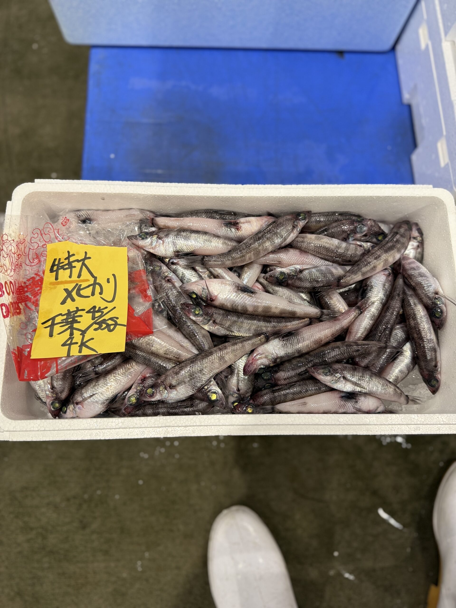Mehikari