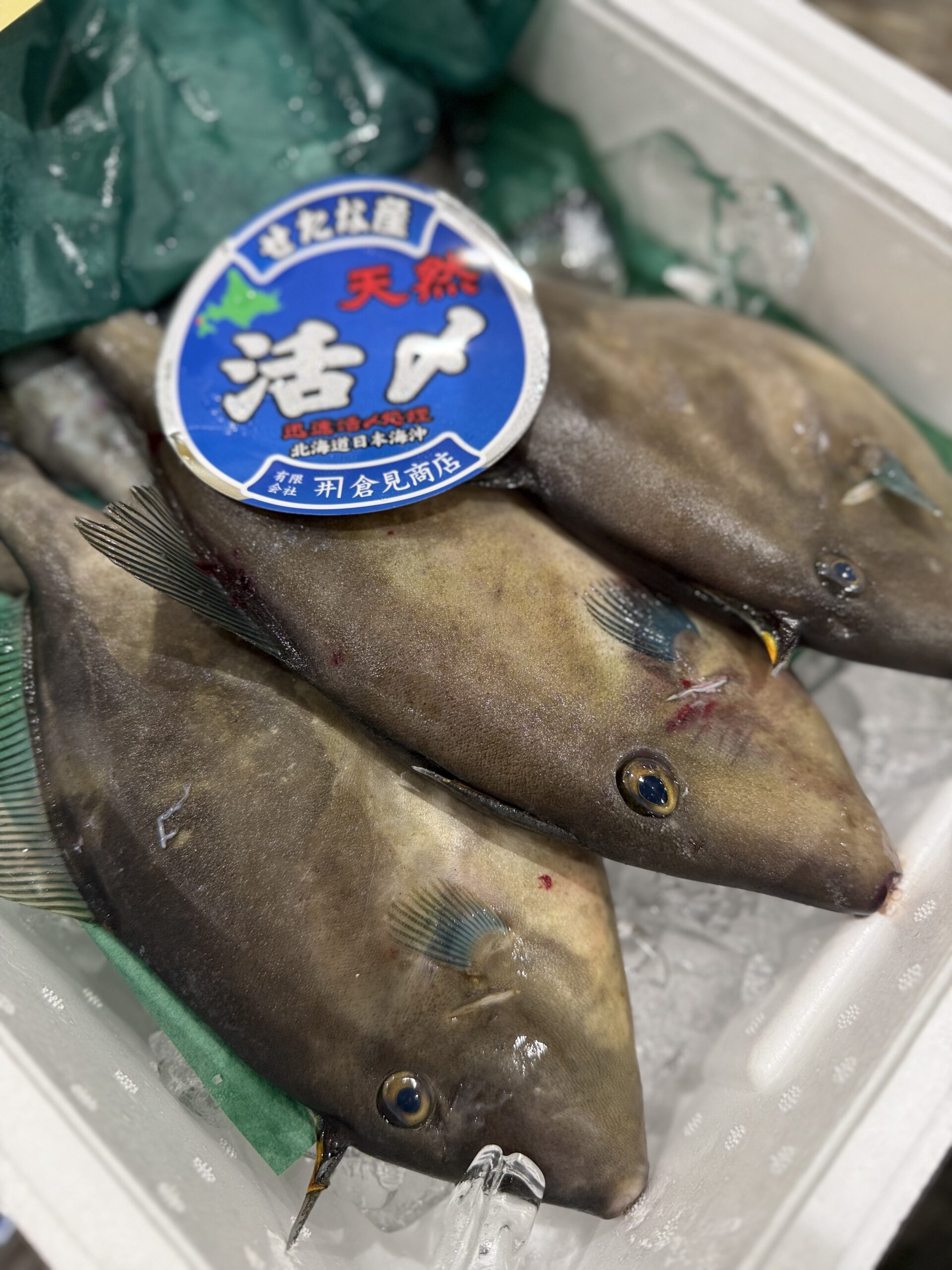 Umazurahagi