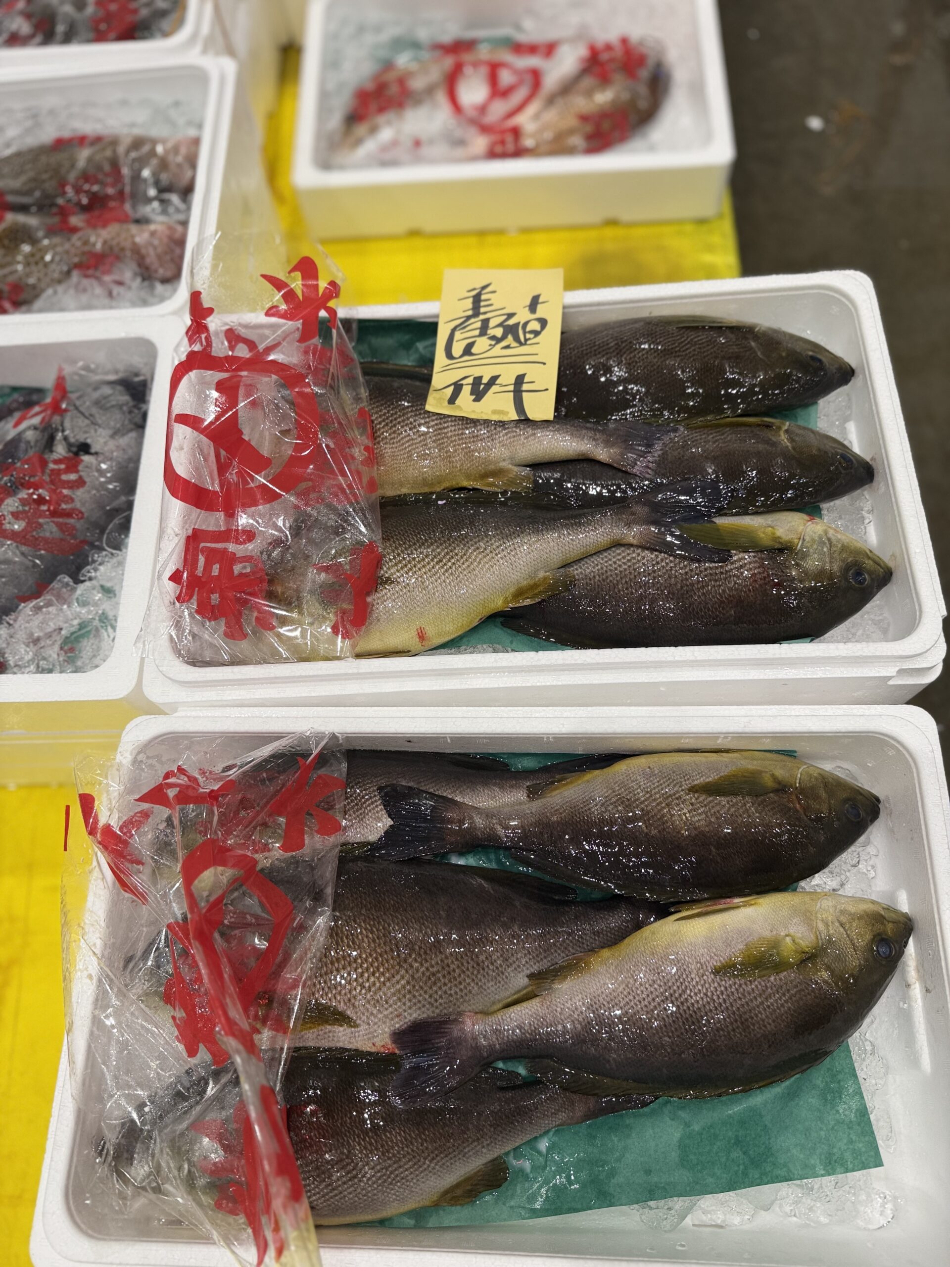 Isaki
