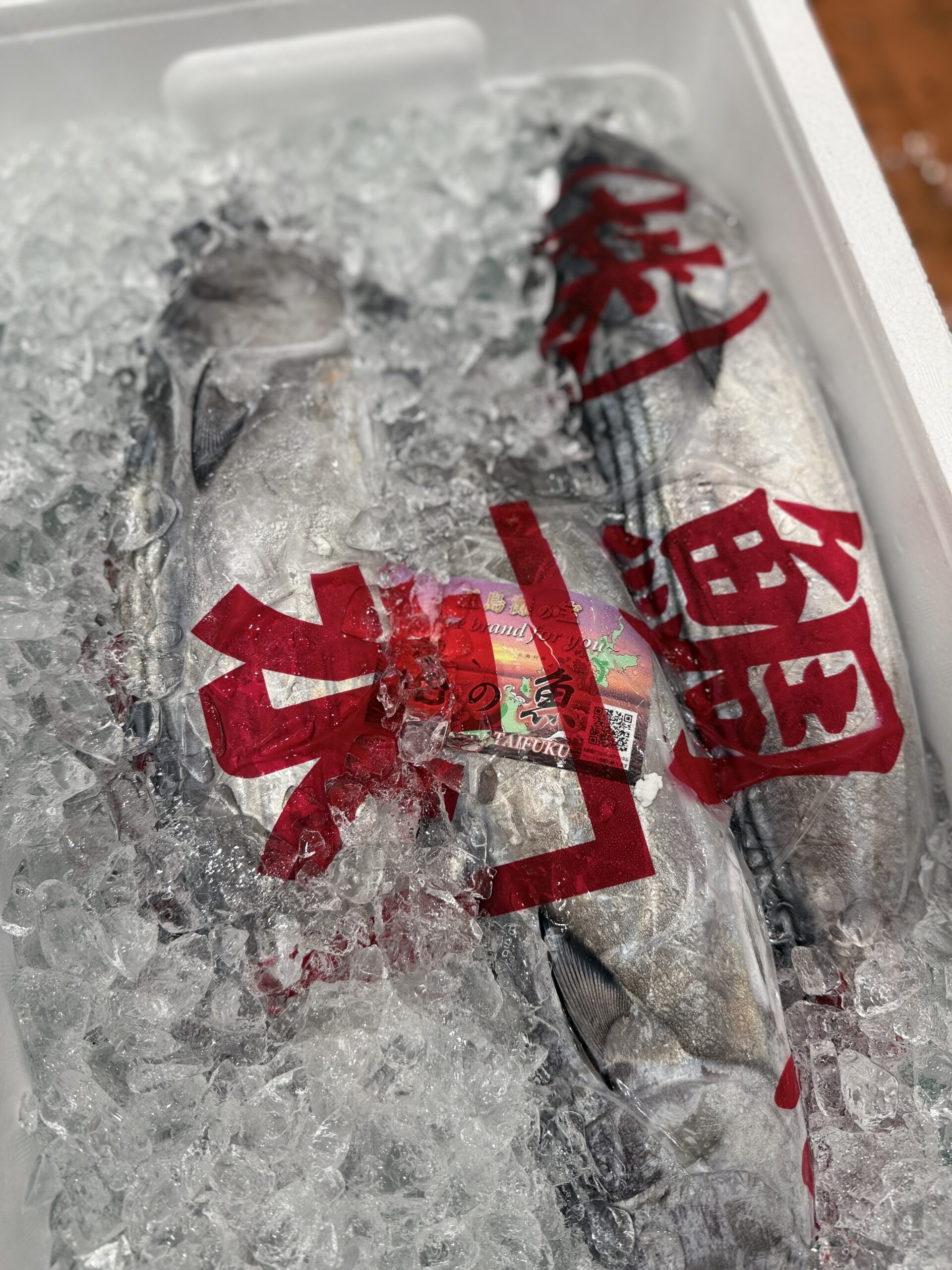 Katsuo