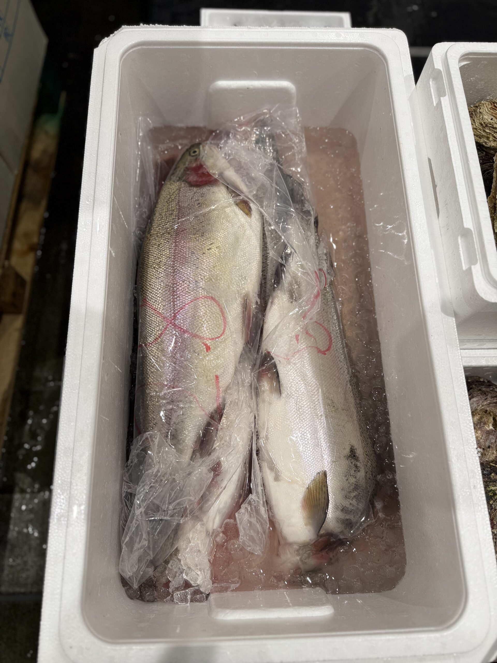 Shinshu-Salmon