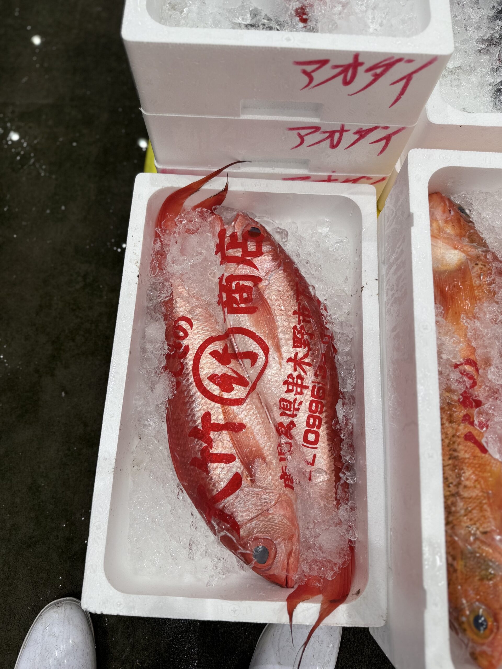 Onaga