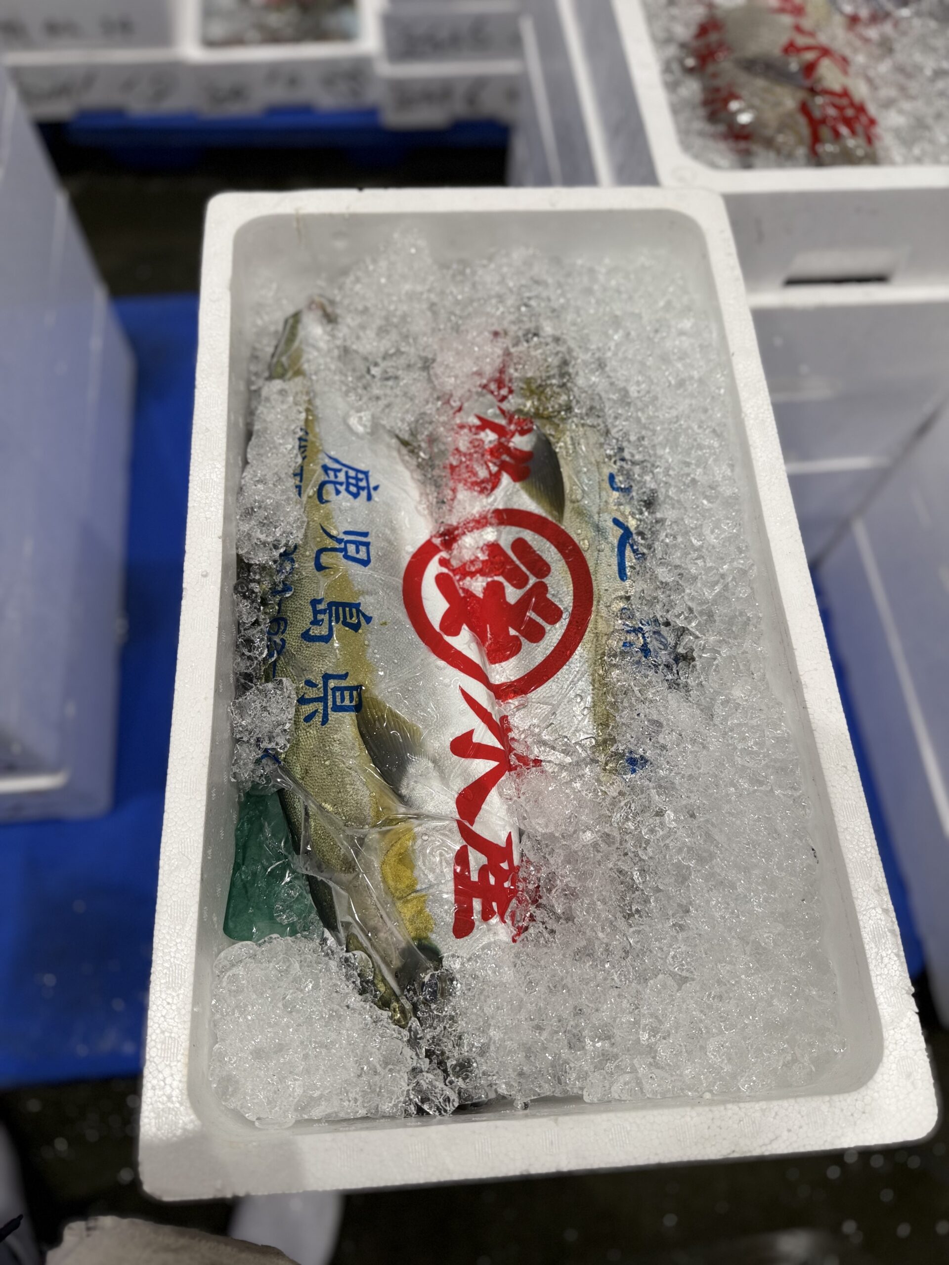 Hiramasa
