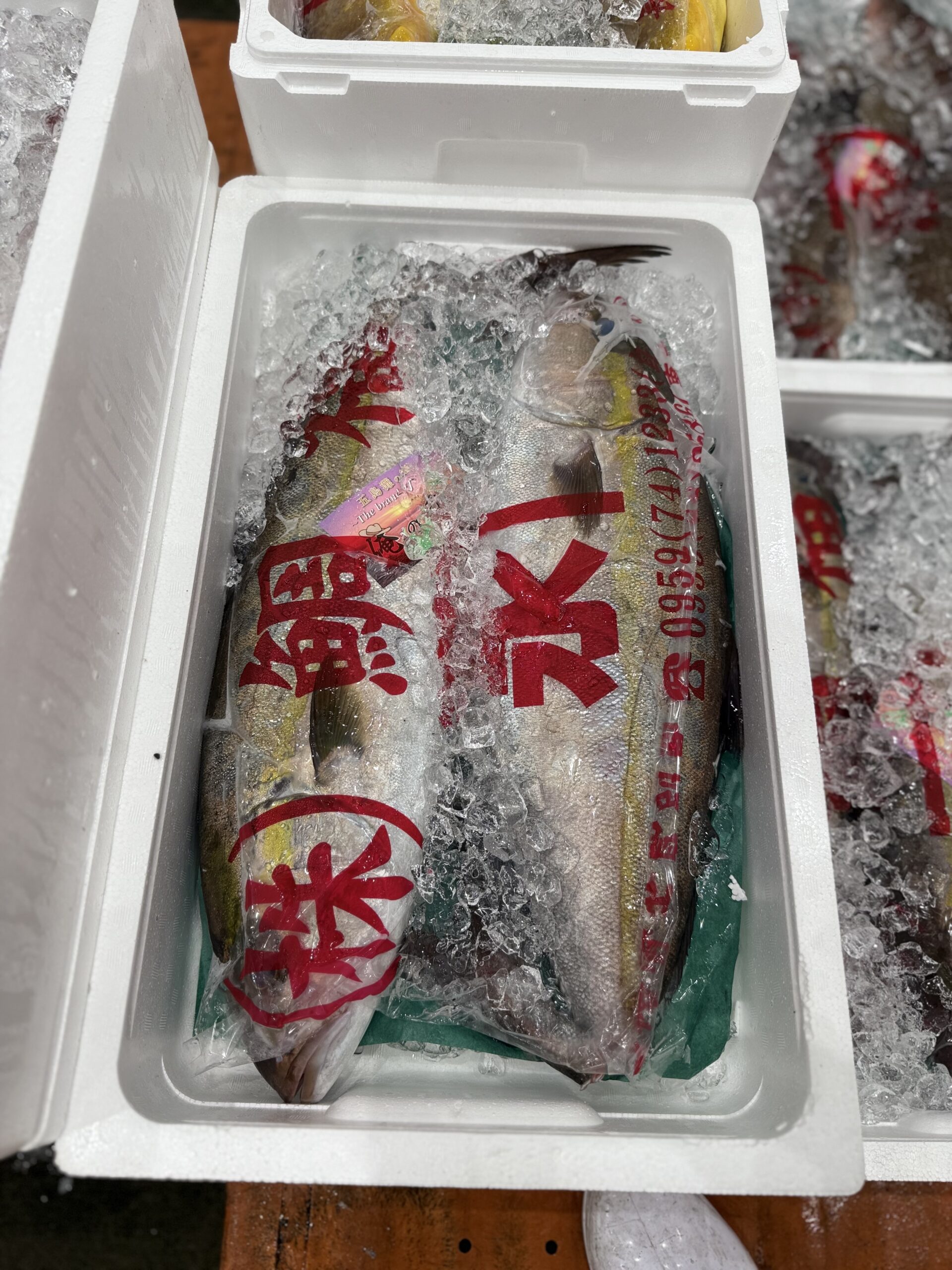 Kanpachi