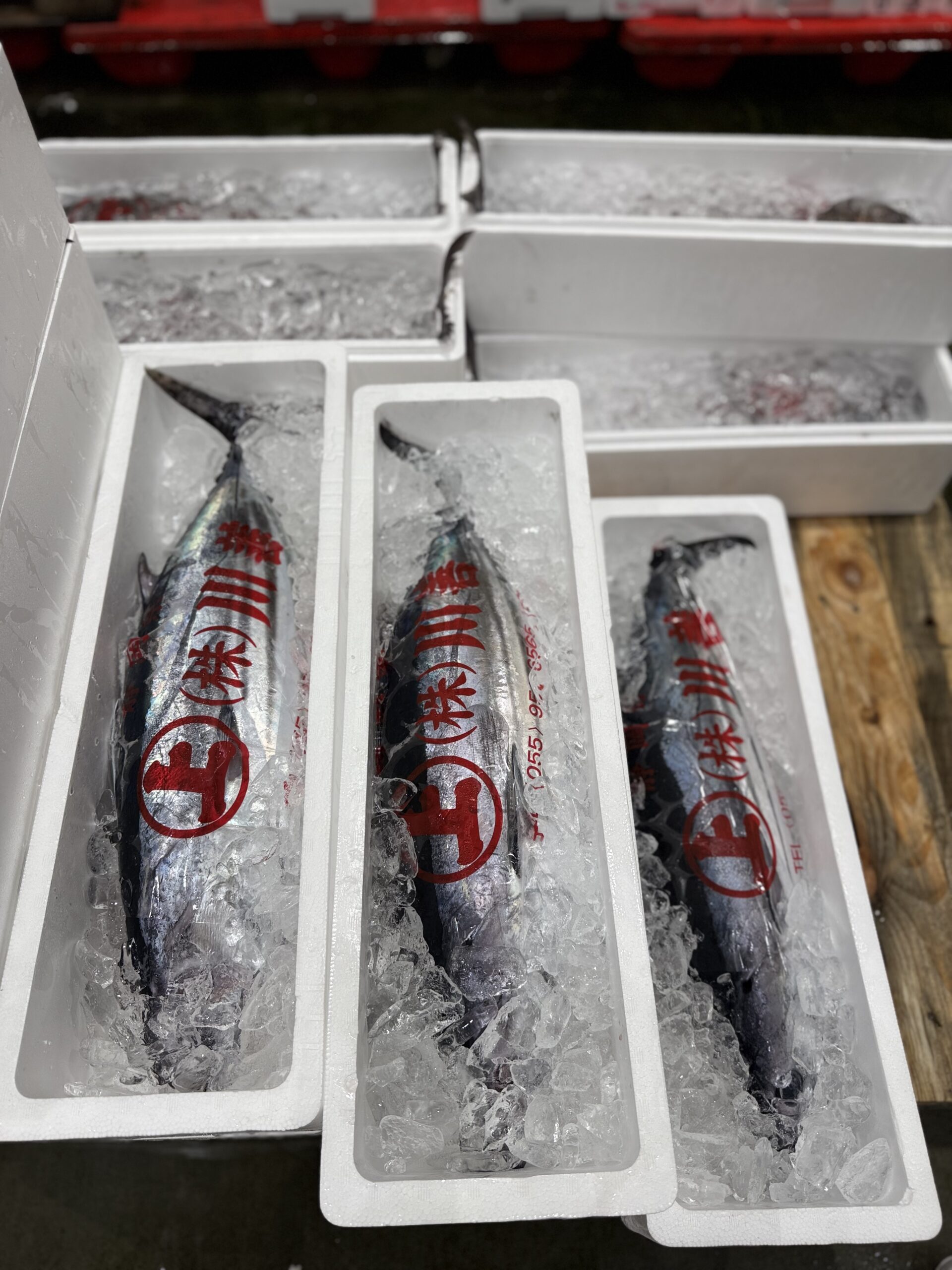 Katsuo