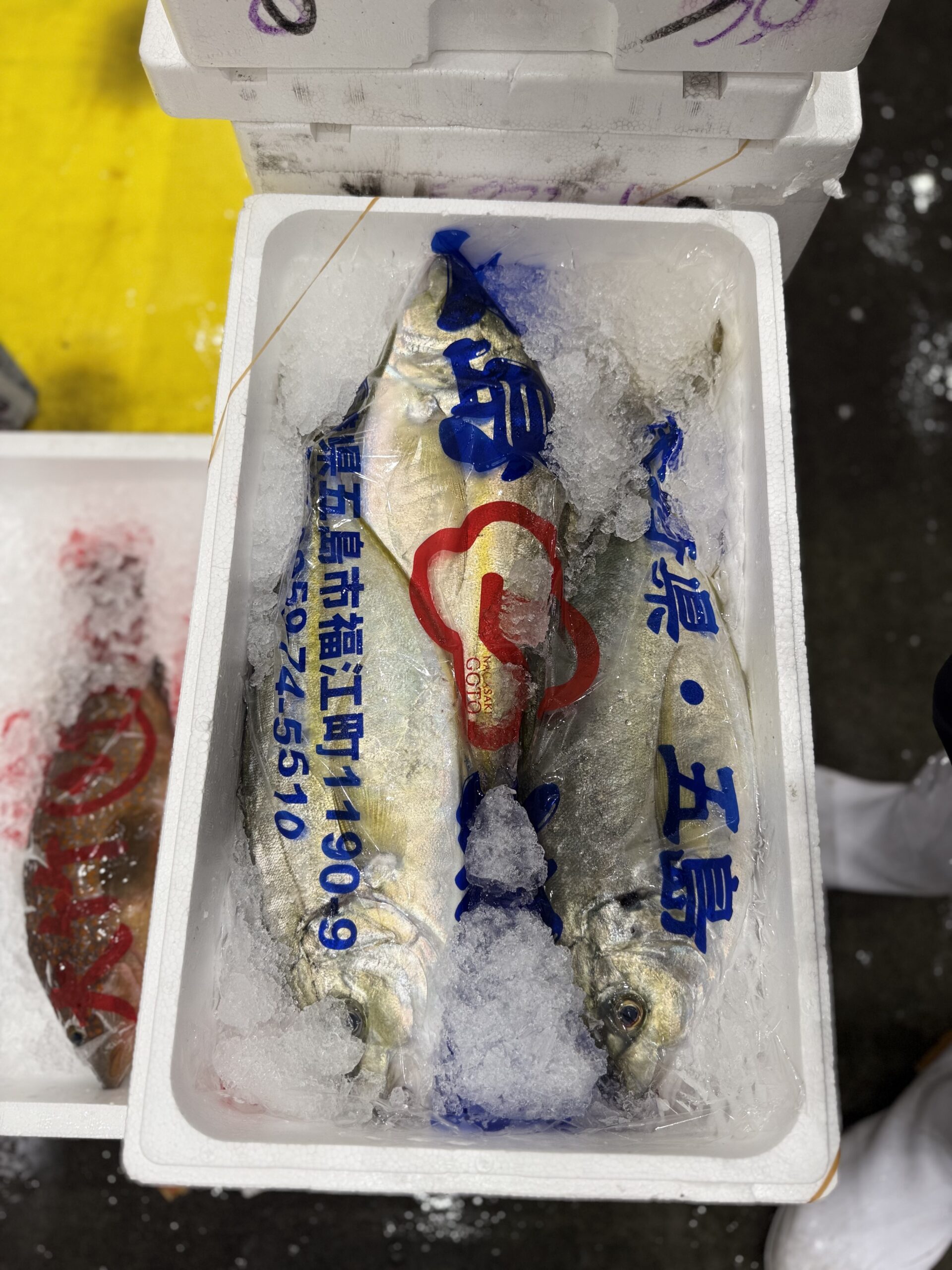 Shima-aji