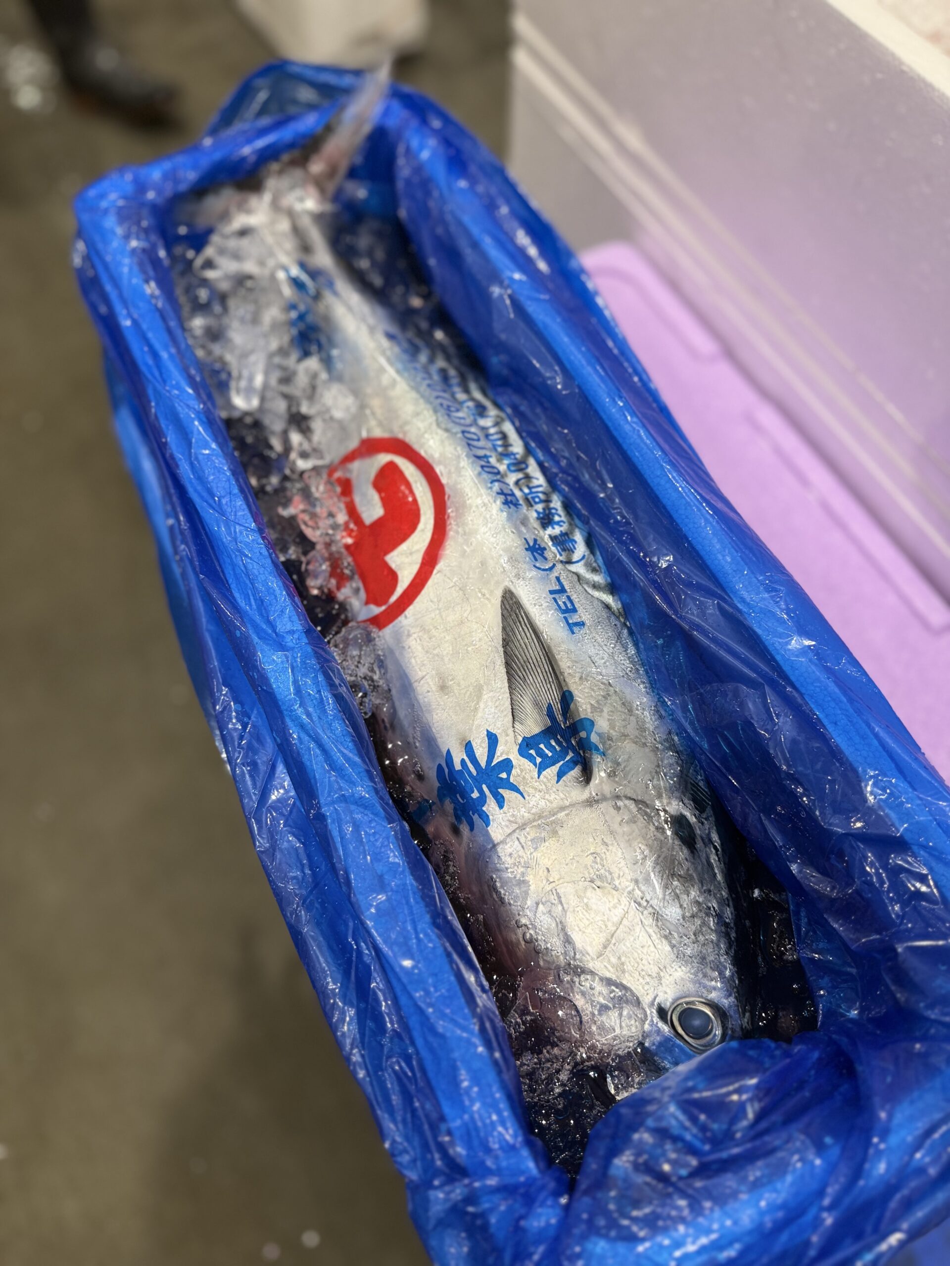 Katsuo