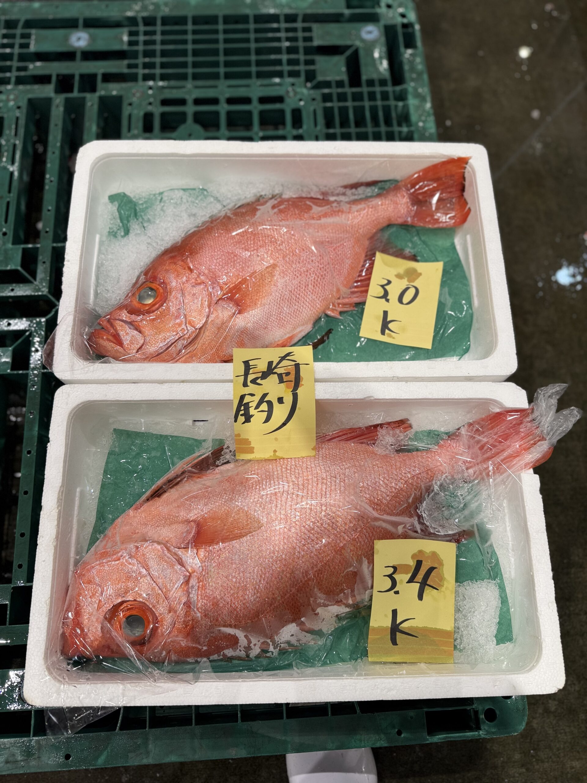 Chikame-kintoki