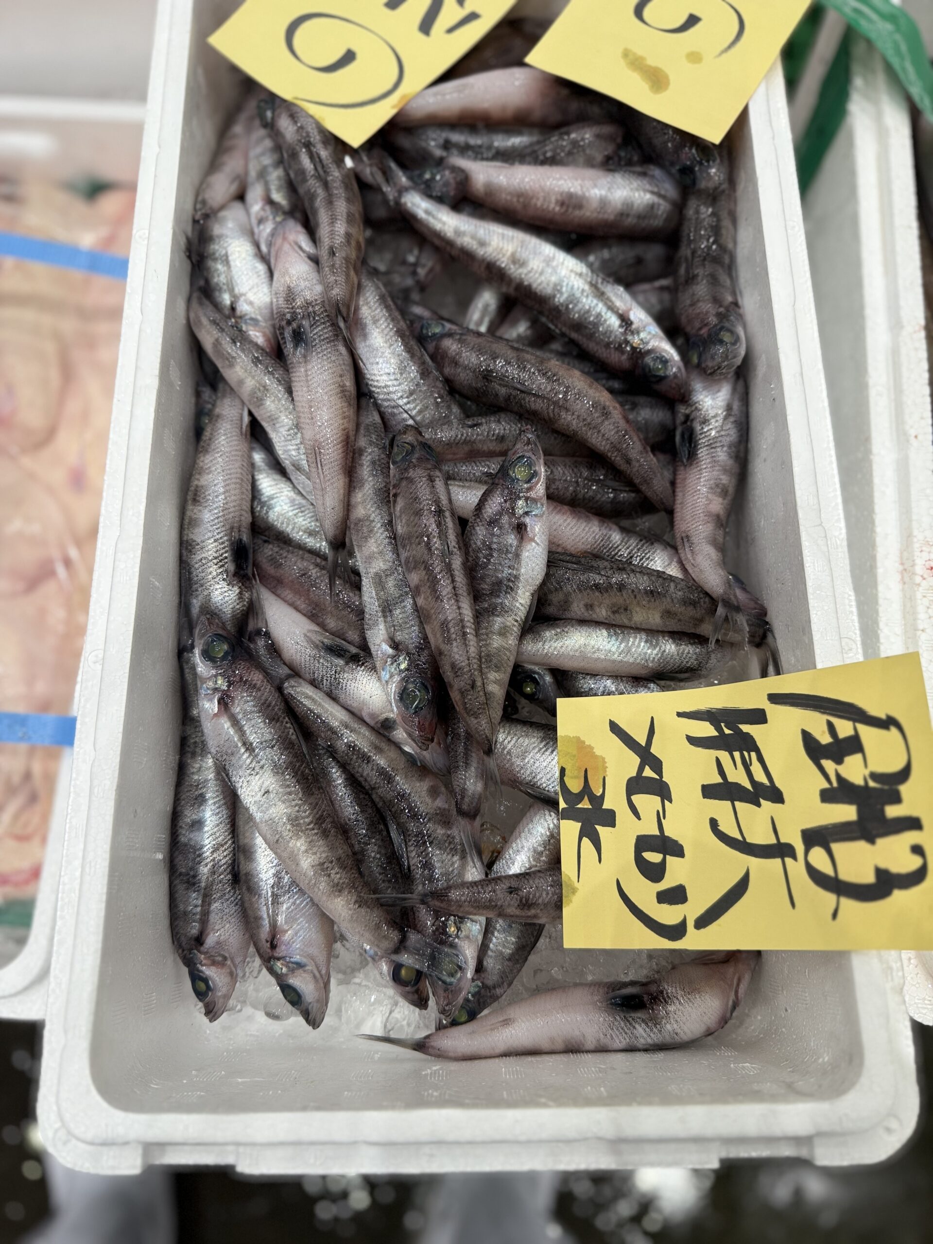 Mehikari