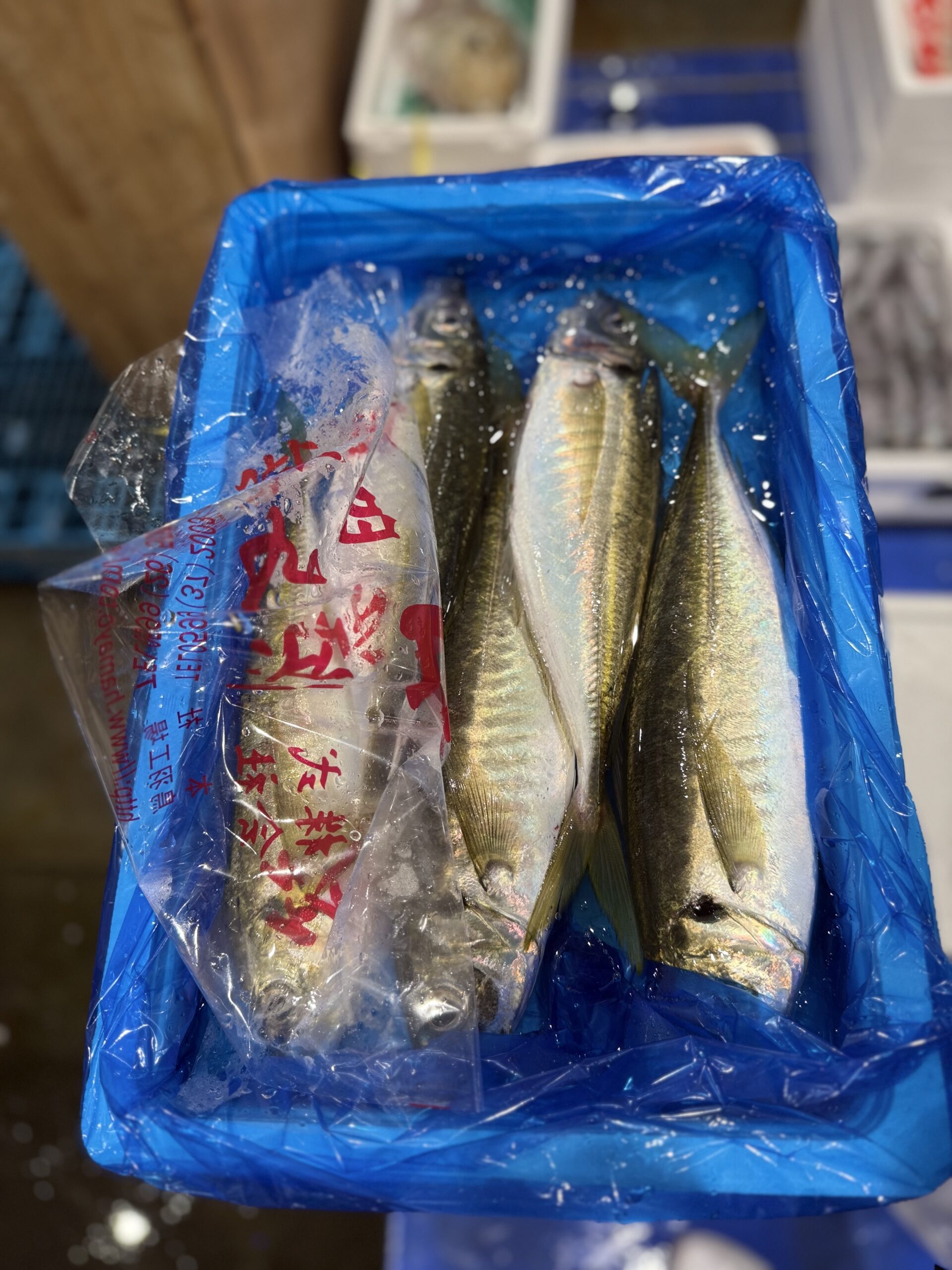Aji