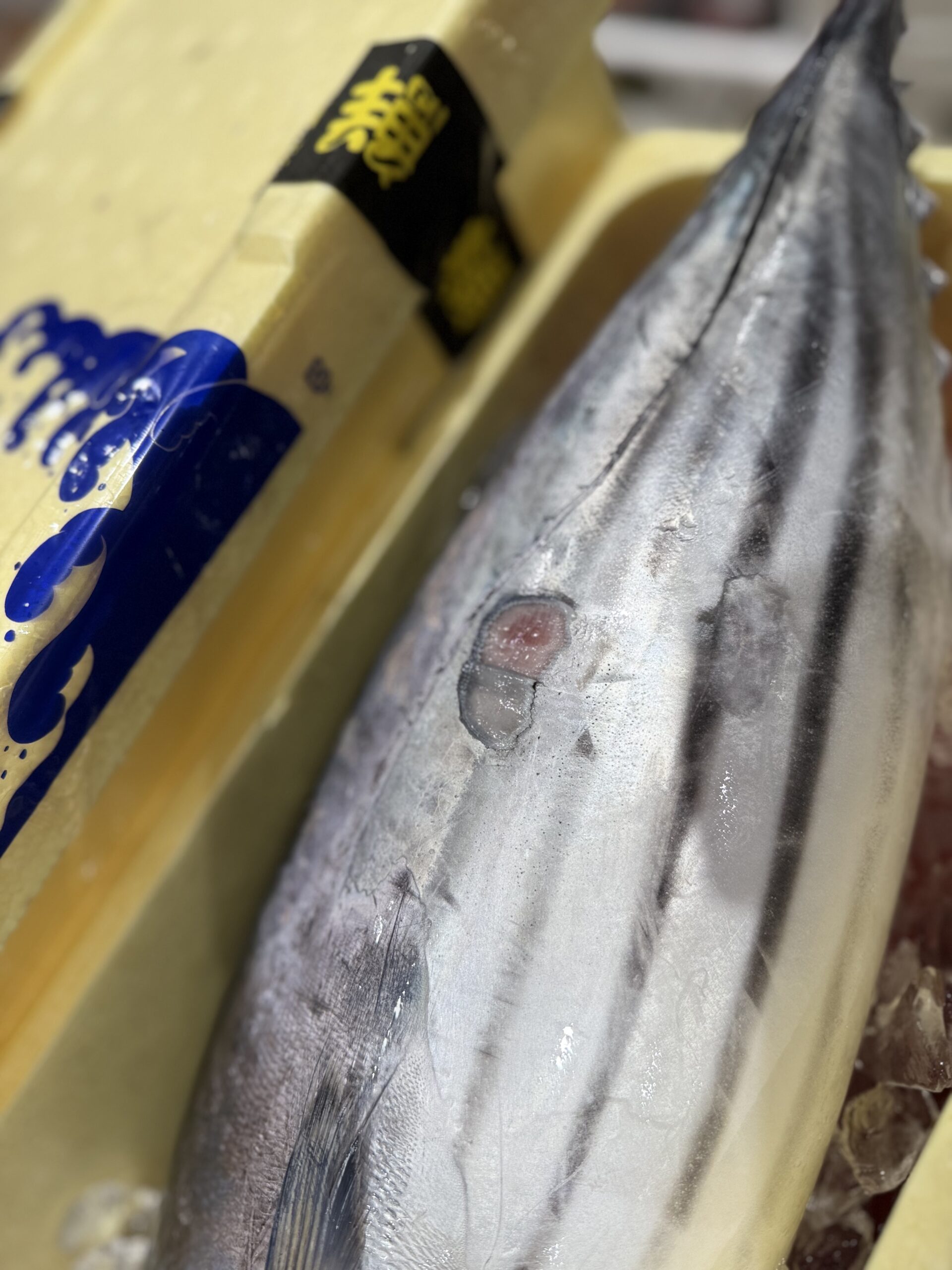 Katsuo