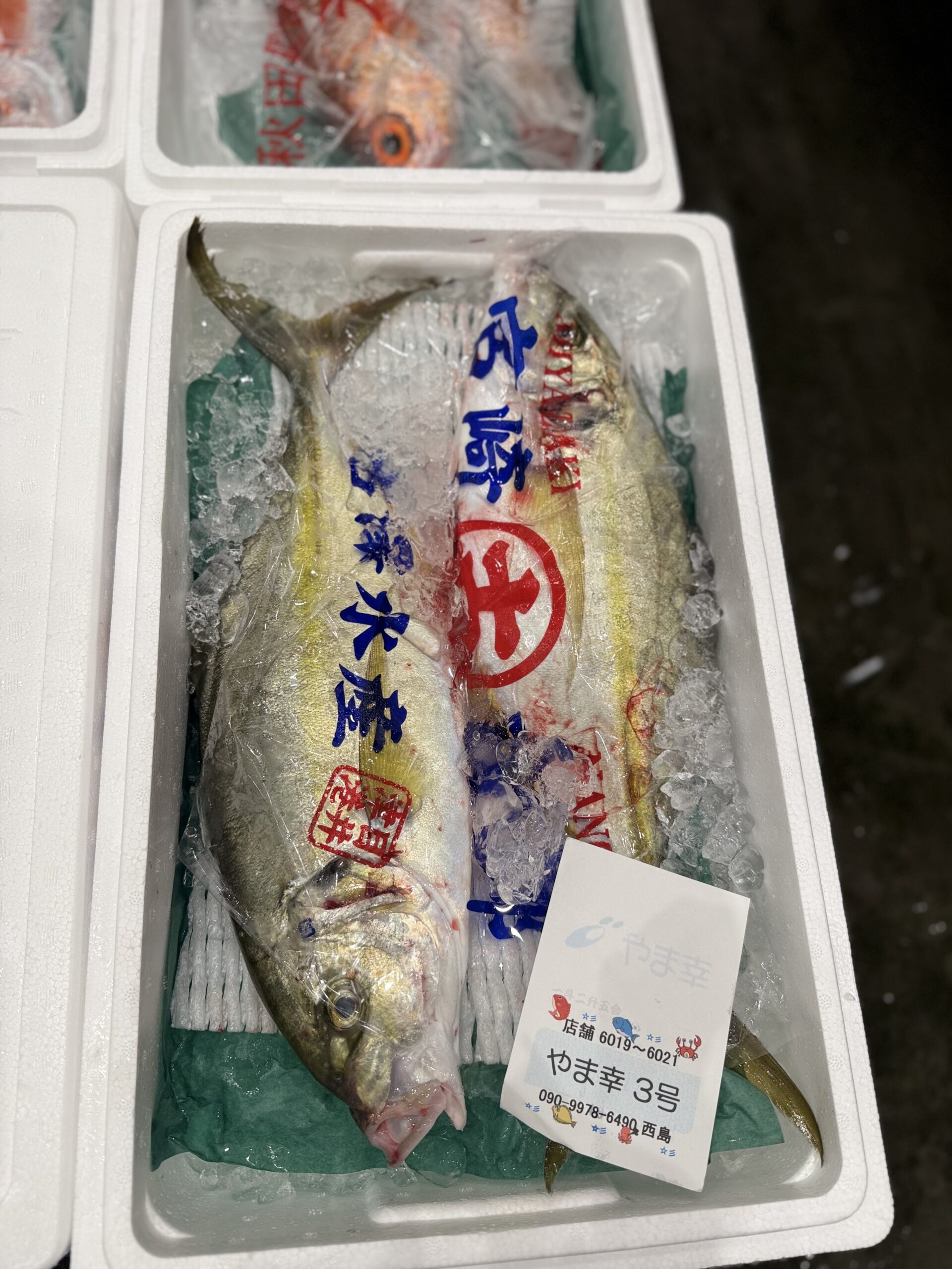 Shimaaji