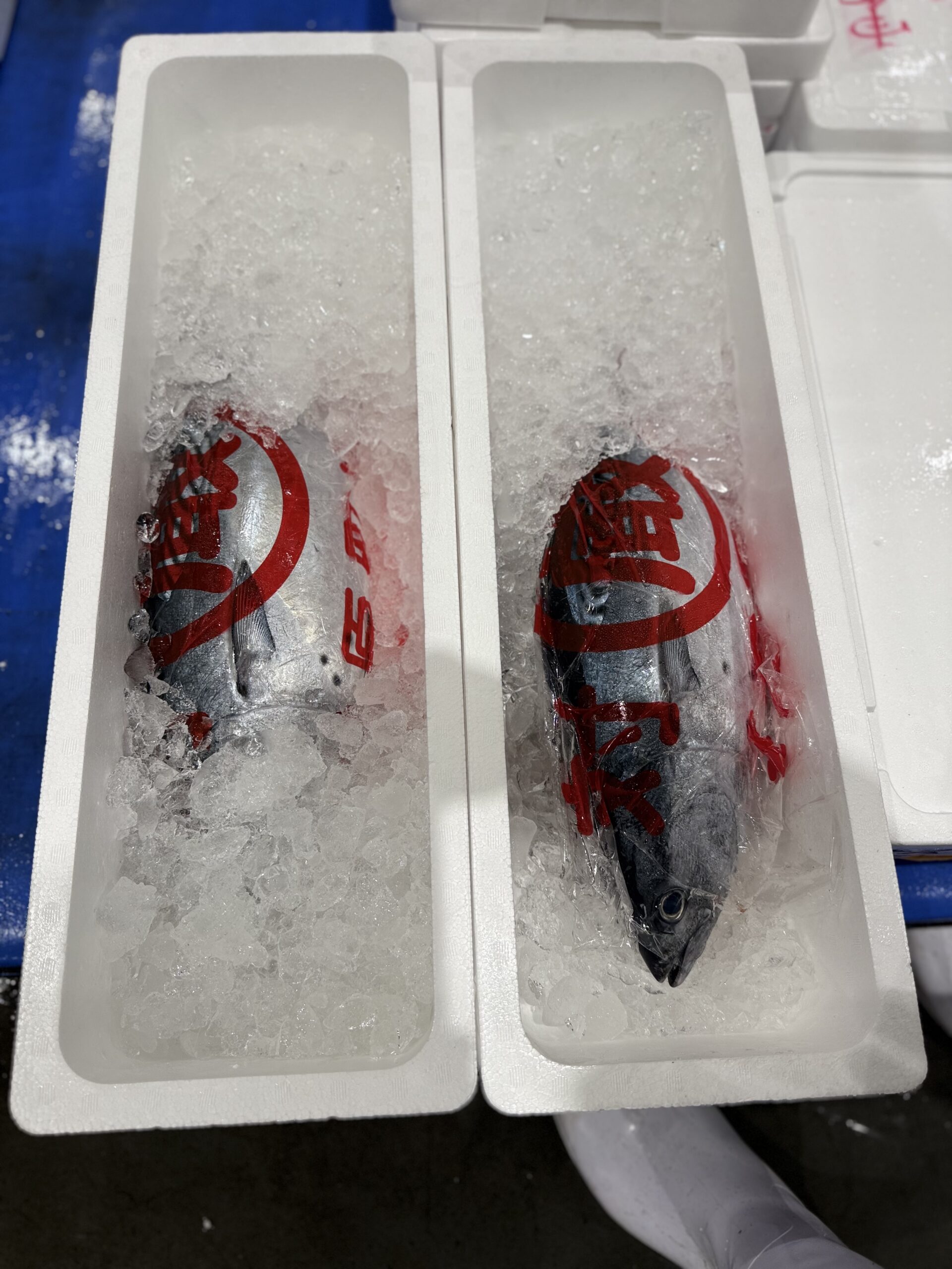 Katsuo