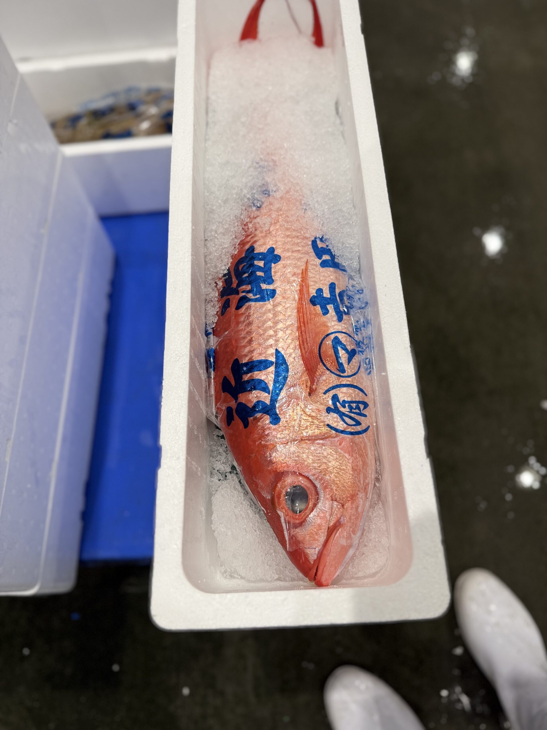Onaga