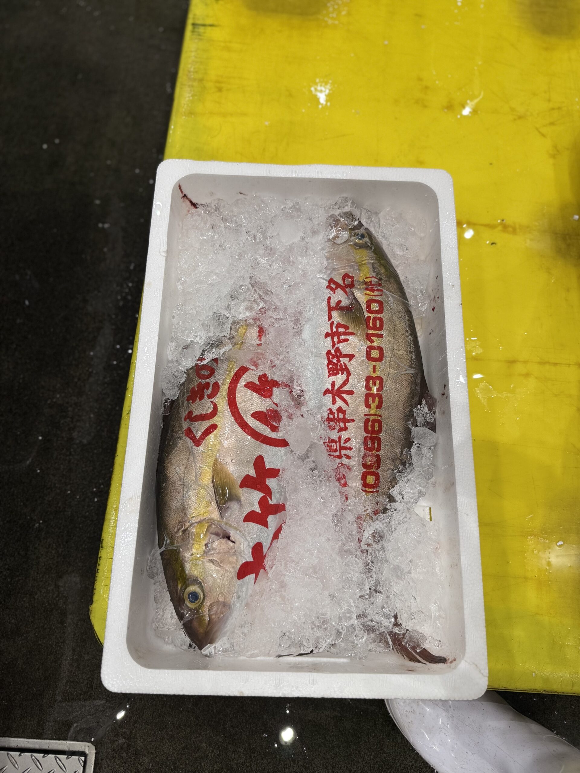 Kanpachi