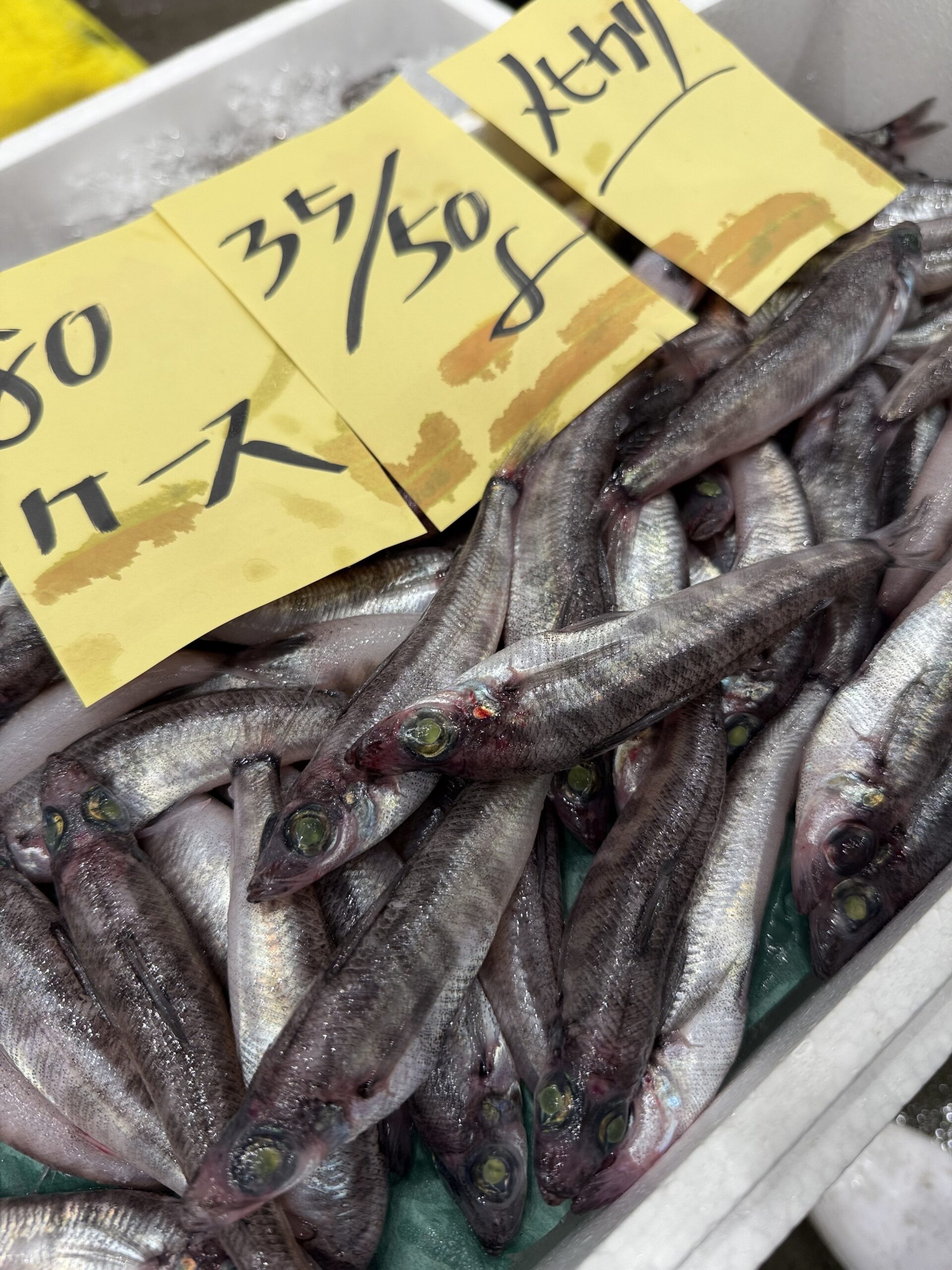 Mehikari